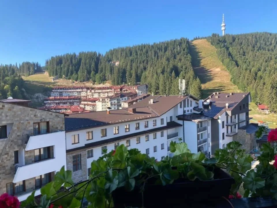 Mountain view in Hotel Iva & Elena