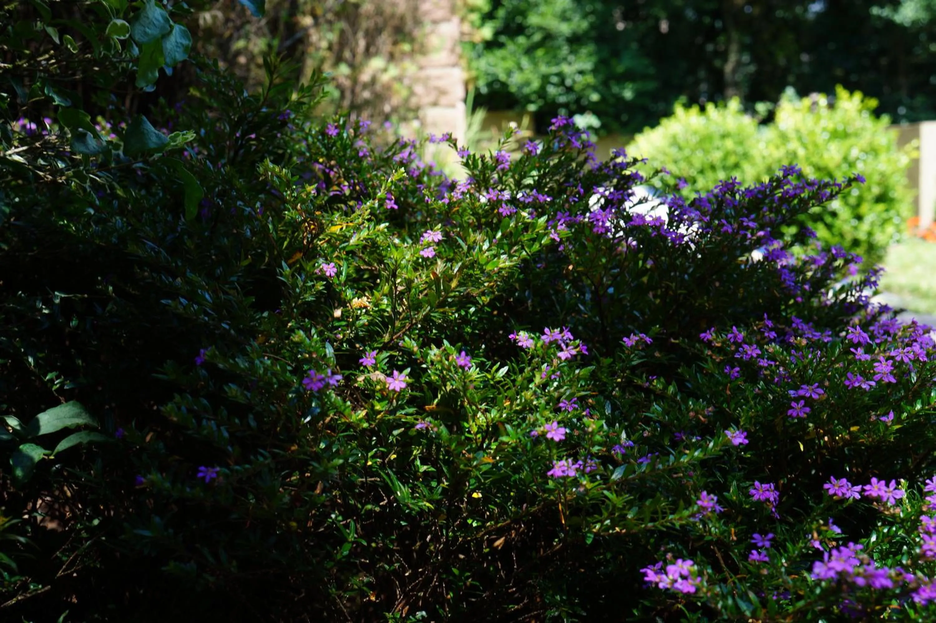 Garden in Pousada Don Ramon & Spa Holgar D'Alma - Charm Collection