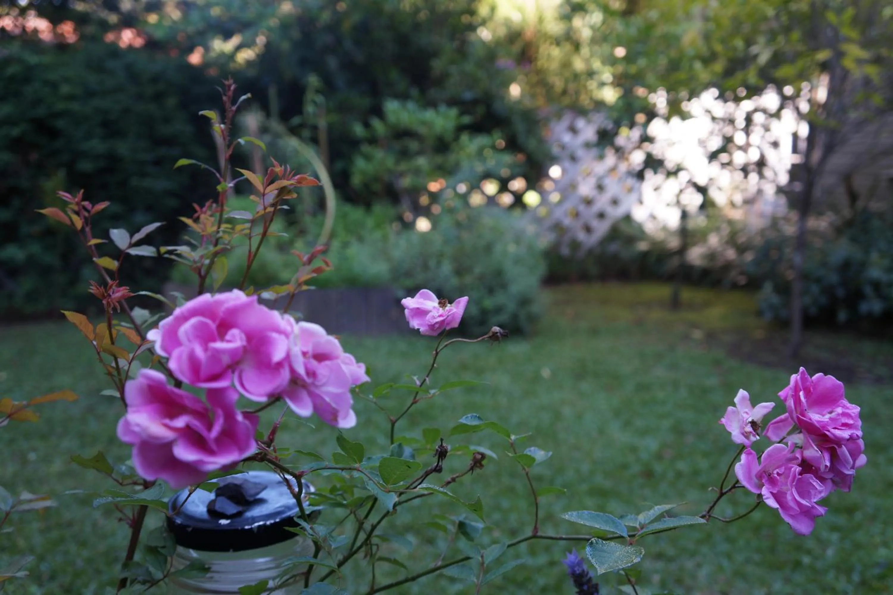 Garden in Pousada Don Ramon & Spa Holgar D'Alma - Charm Collection