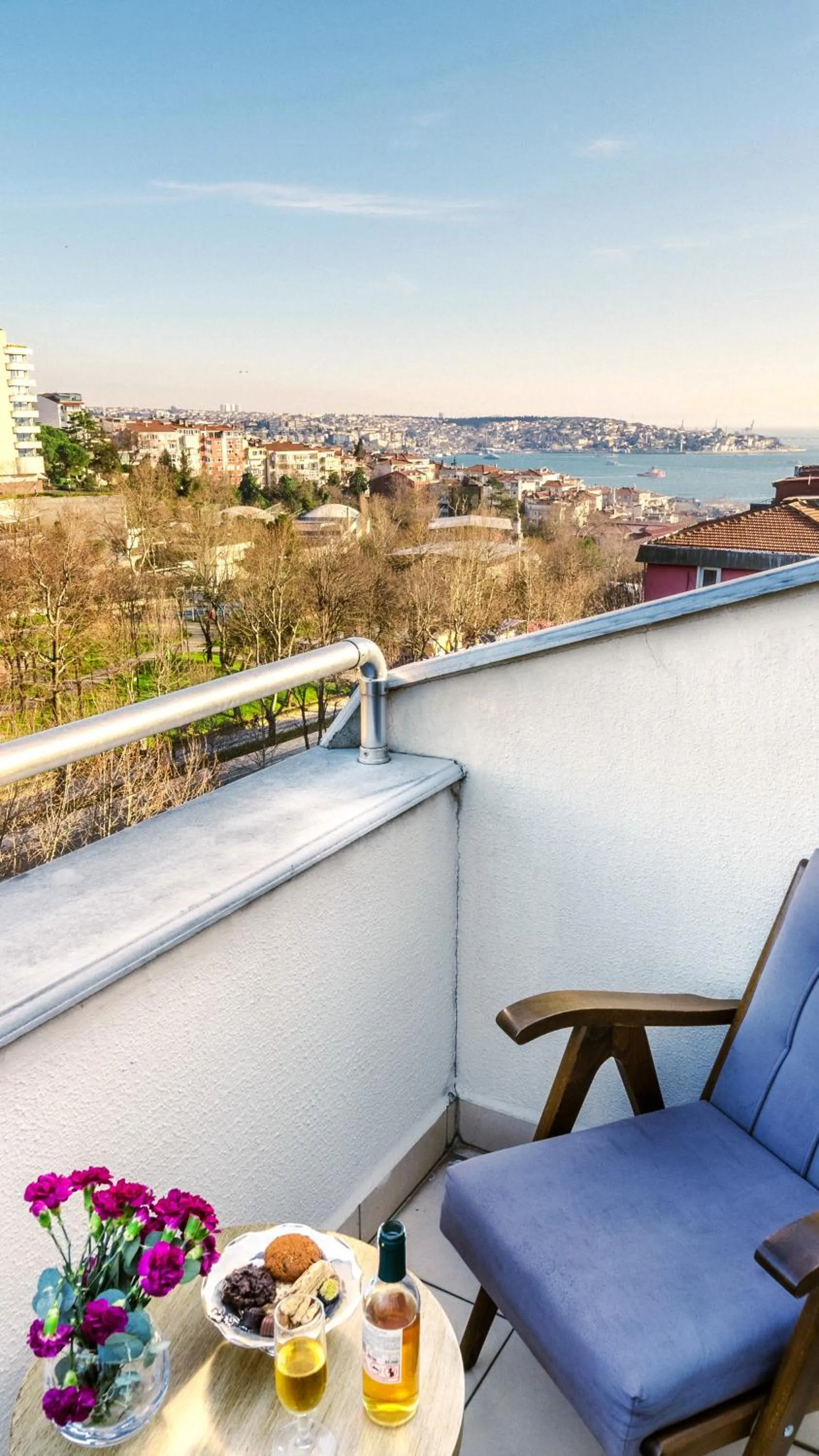 View (from property/room) in Cheya Beşiktaş Istanbul Bosphorus City Center Hotel & Suites