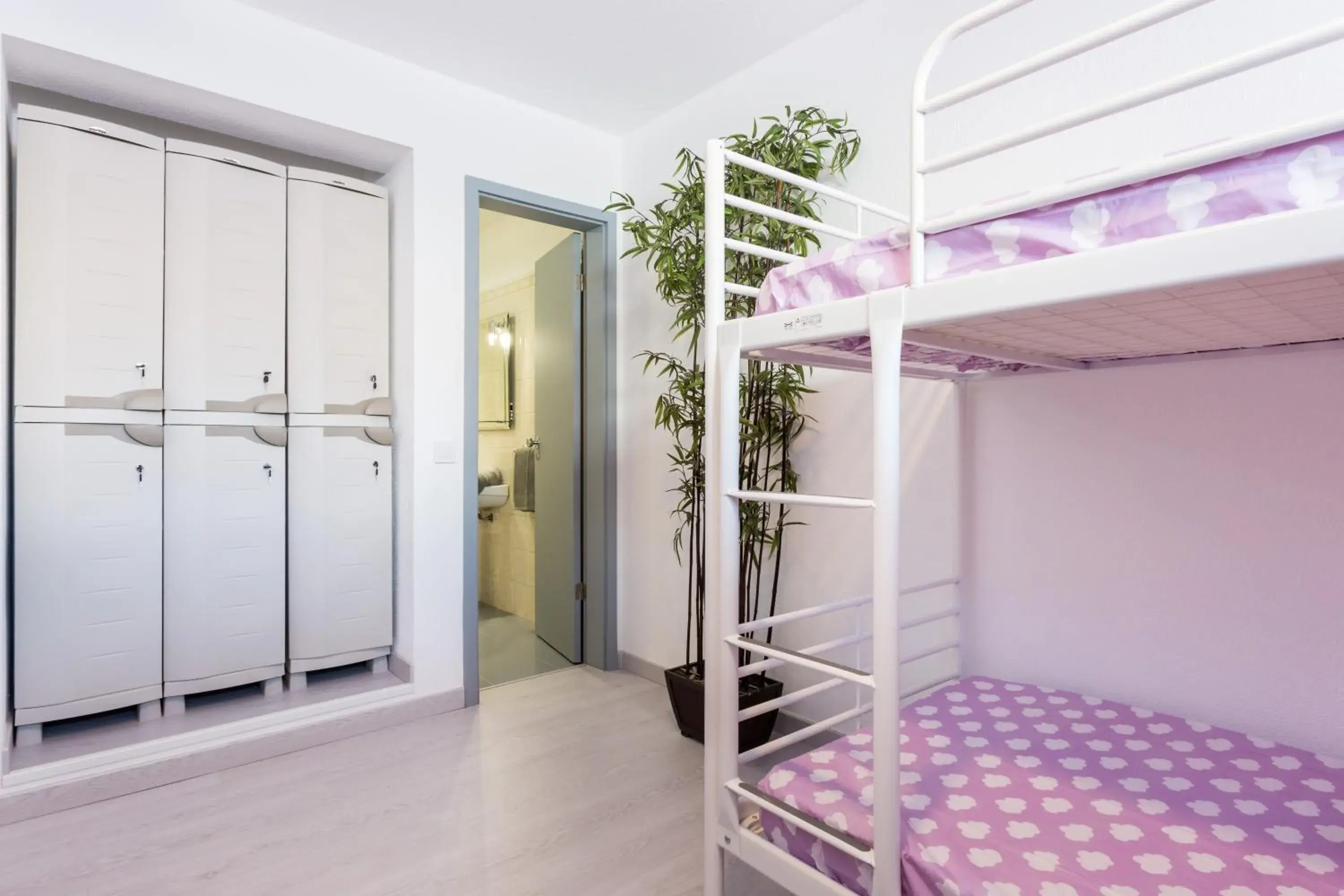 4-Bed Female Dormitory Room - single occupancy in Safari Beach guest house 4-Bed Female Dormitory Room - single occupancy in Safari Beach guest house