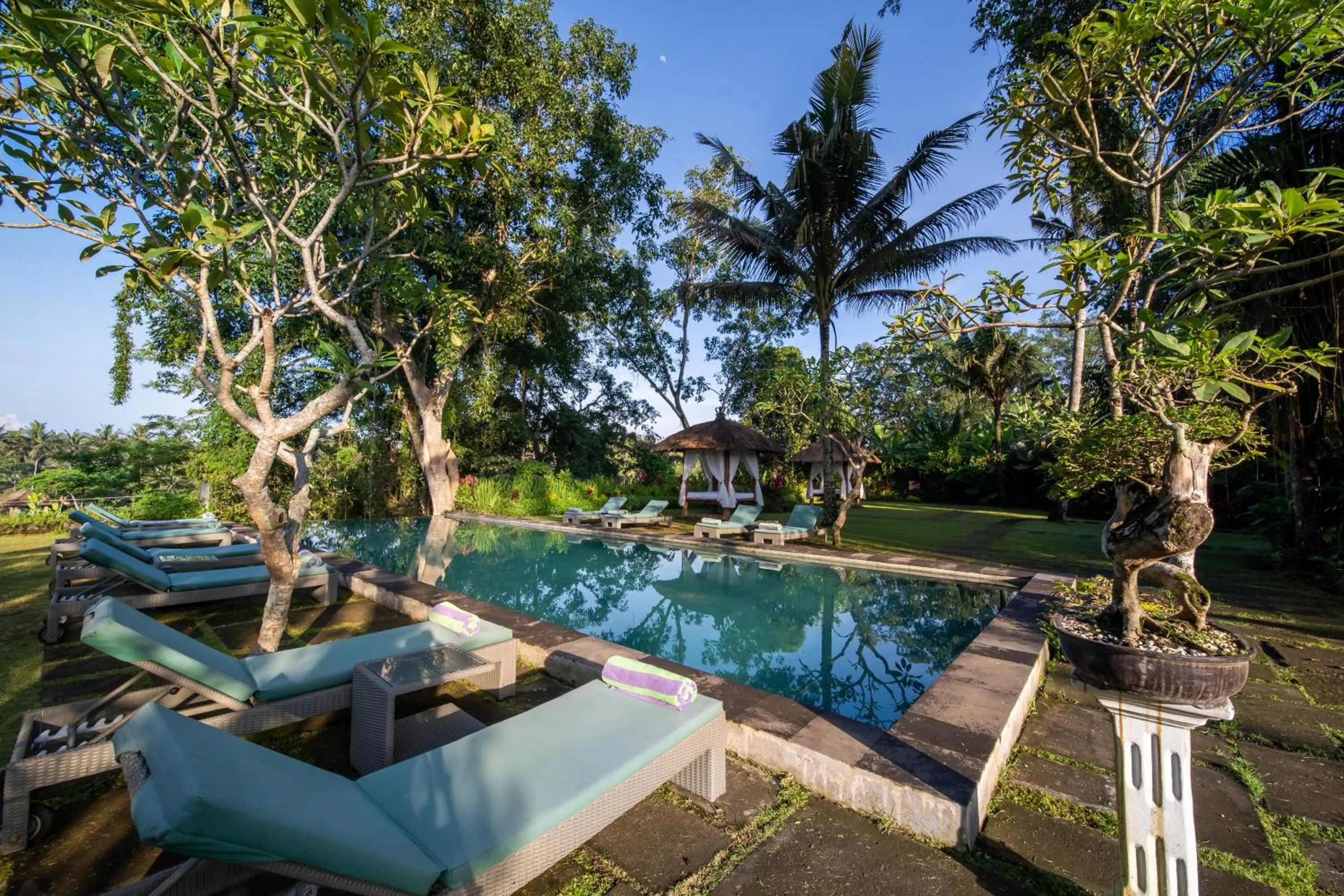Swimming pool in The Hidden Paradise Ubud - CHSE Certified