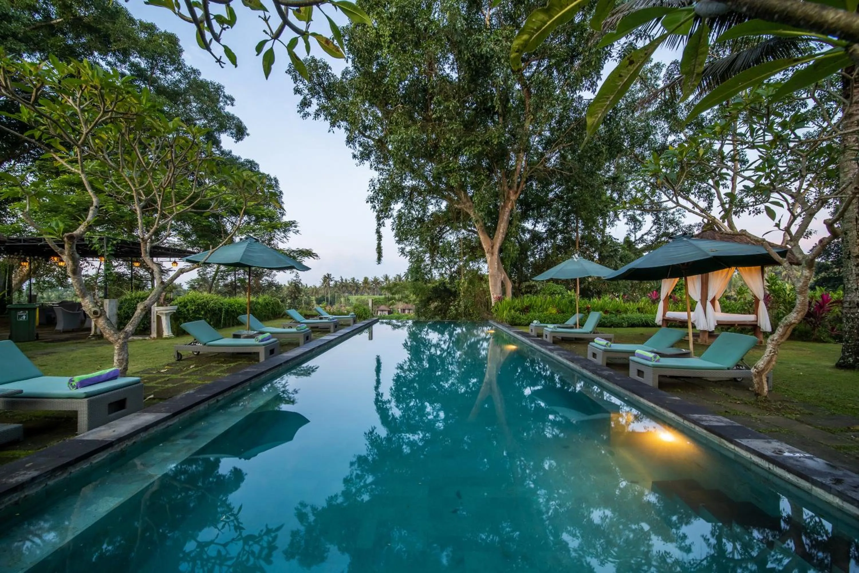 Swimming pool in The Hidden Paradise Ubud - CHSE Certified