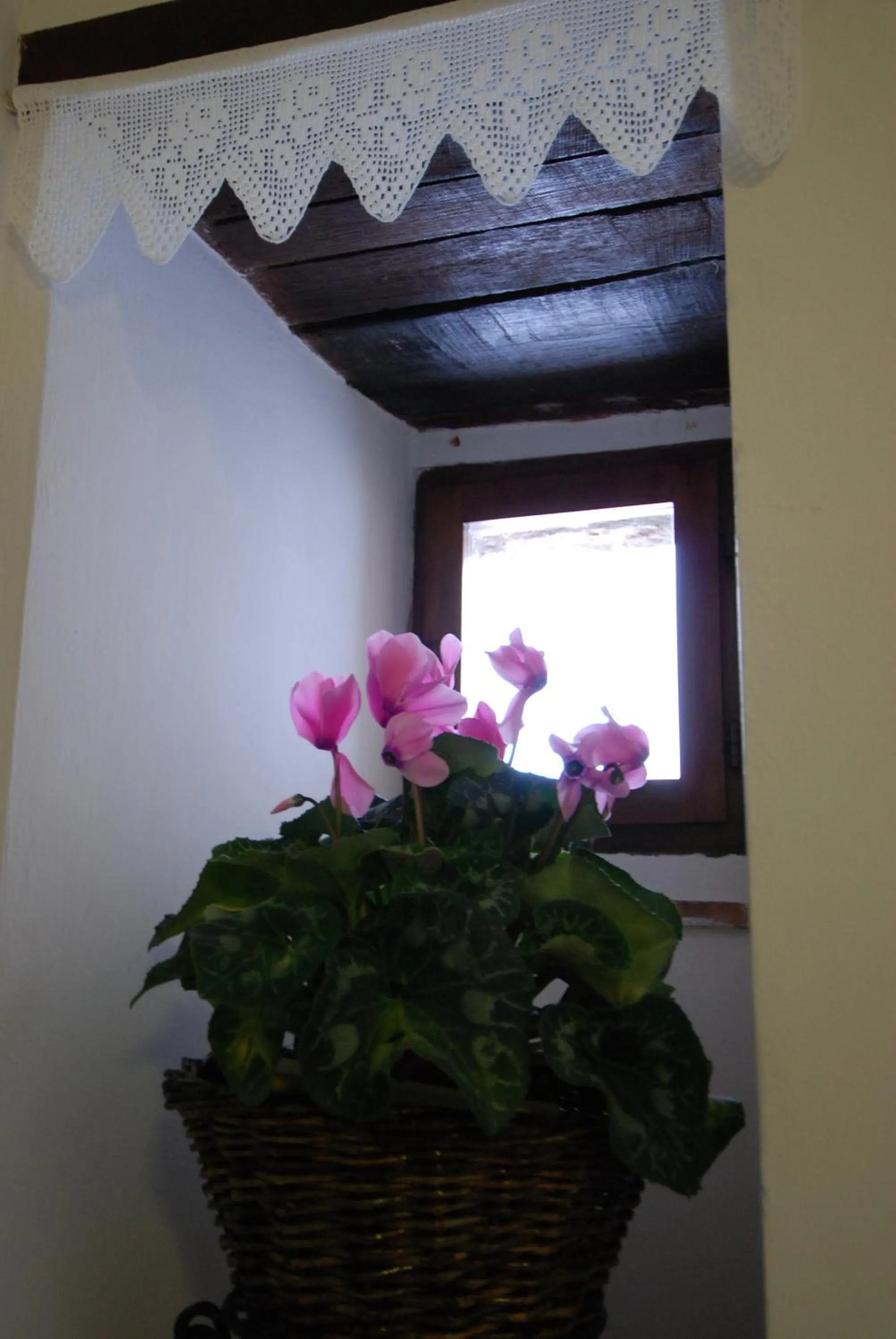 Decorative detail in L'Oasi