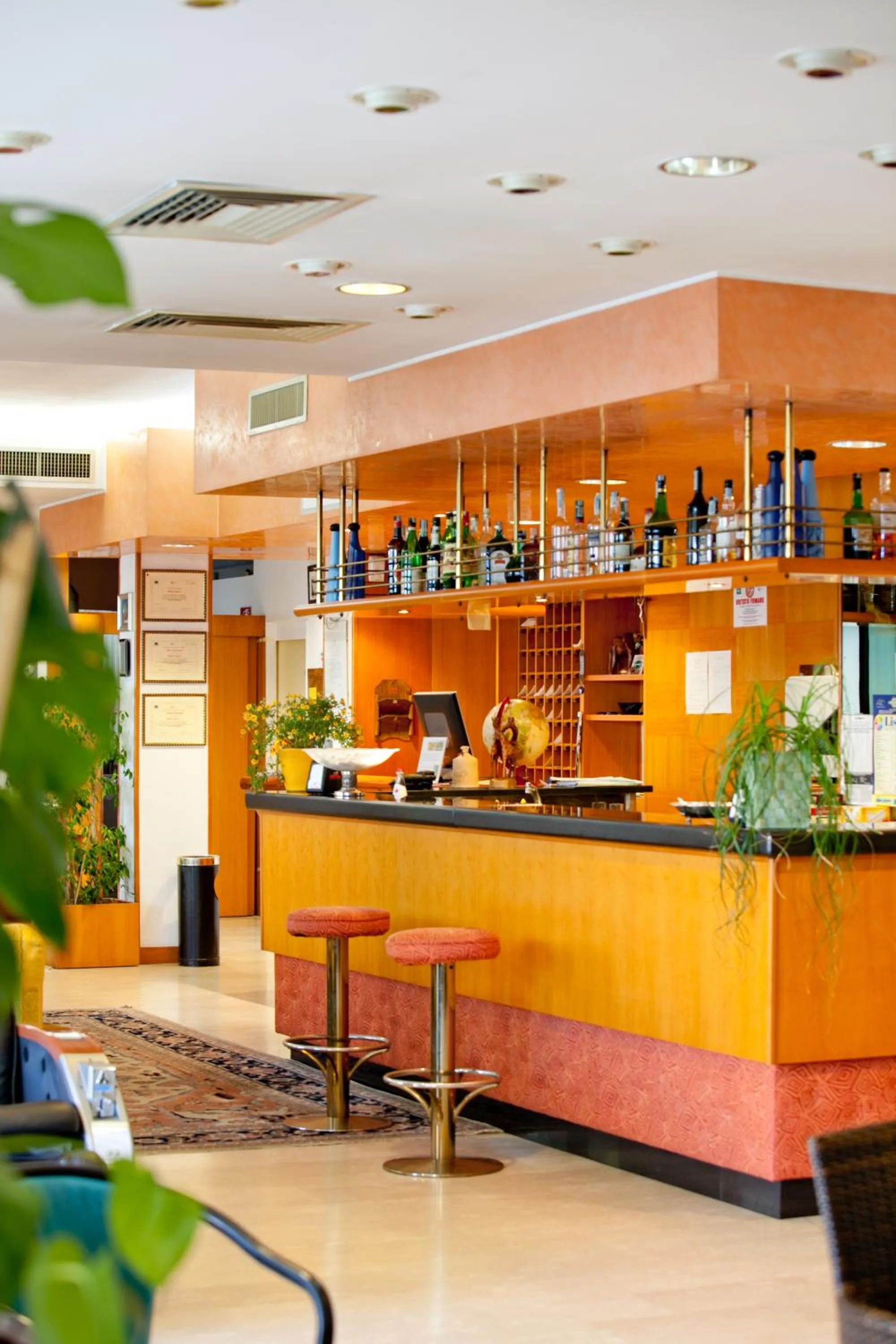 Lounge or bar in Hotel Canguro