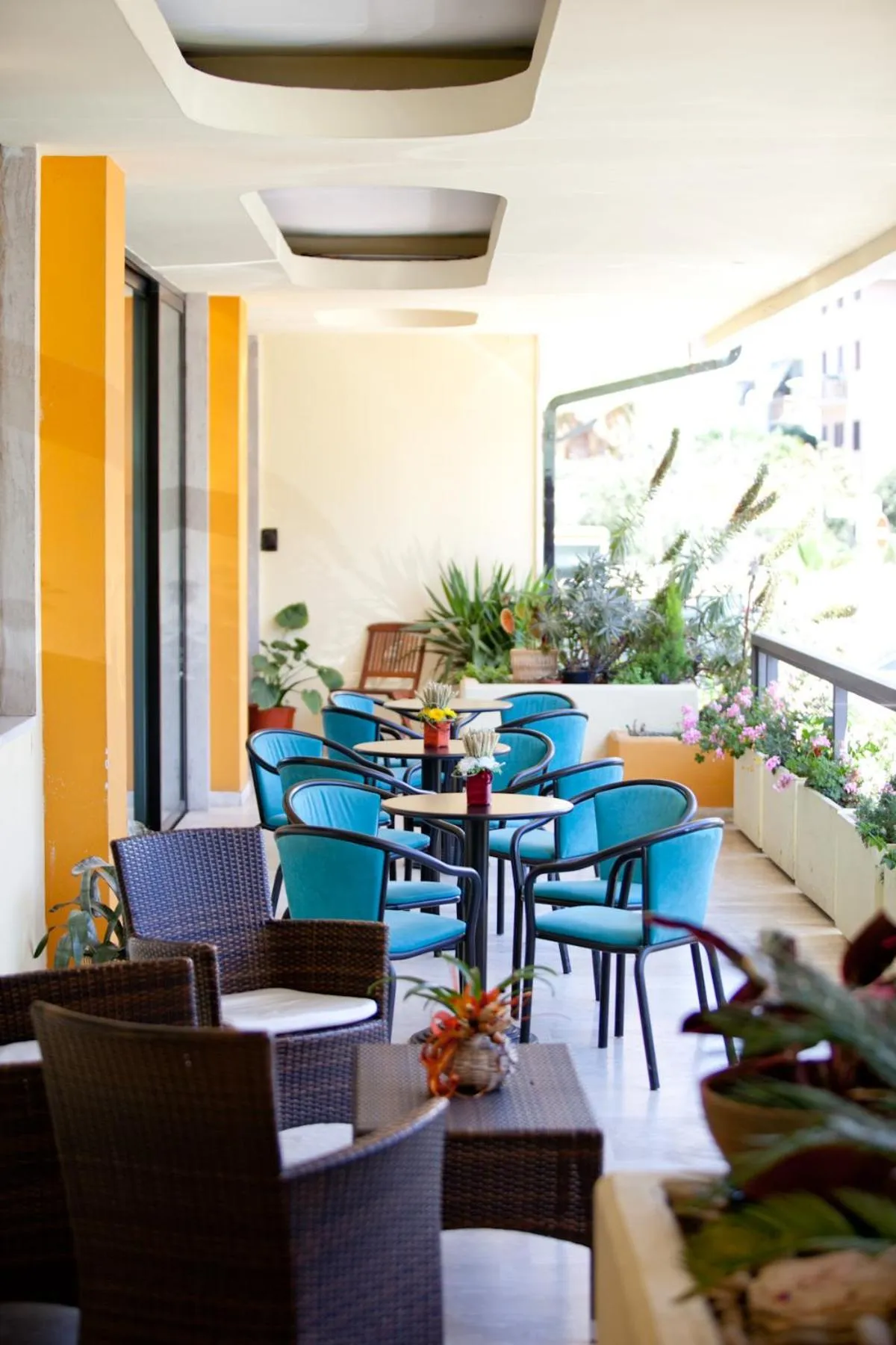 Balcony/Terrace in Hotel Canguro