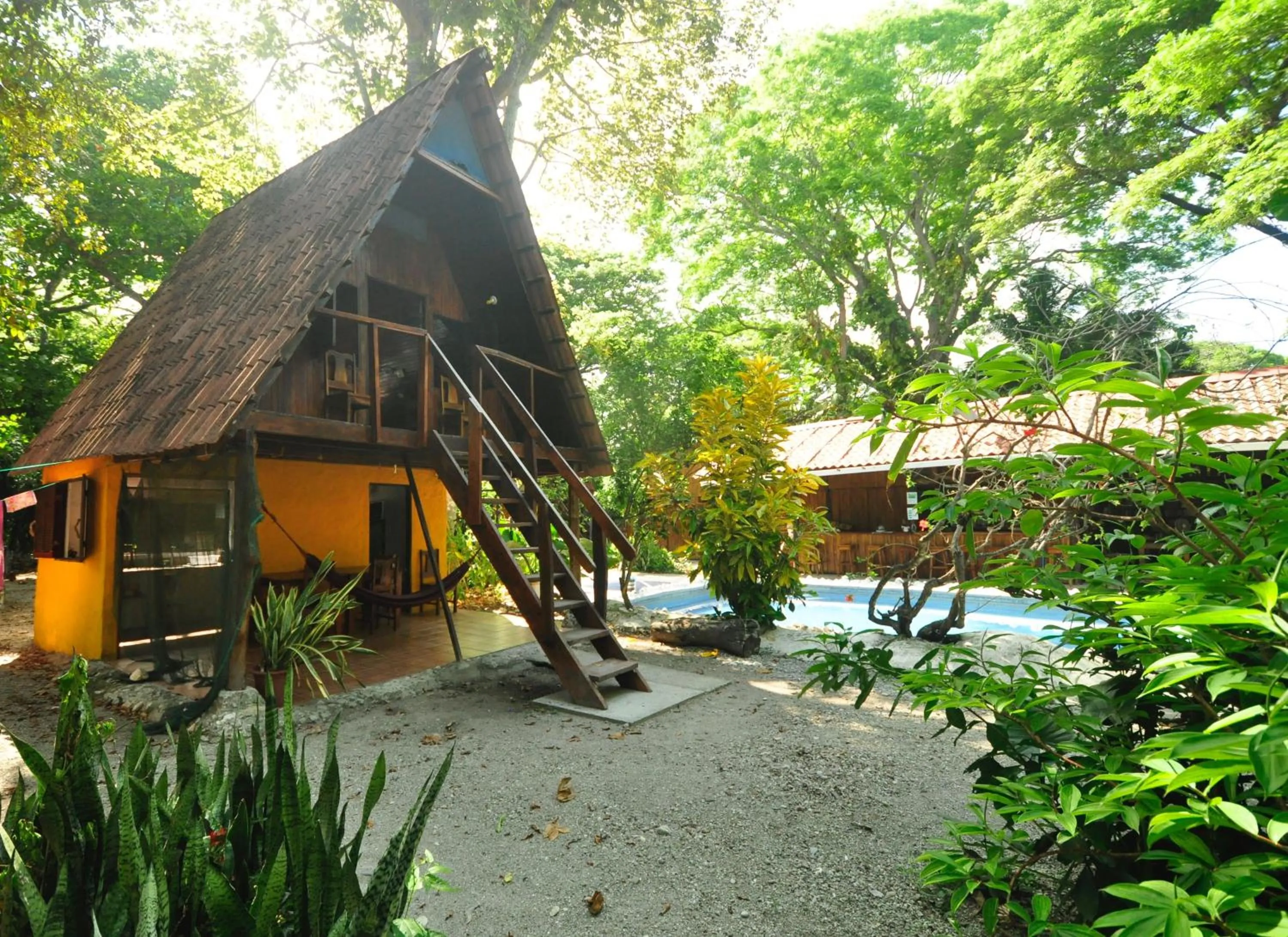 Garden in Howler Monkey Hotel