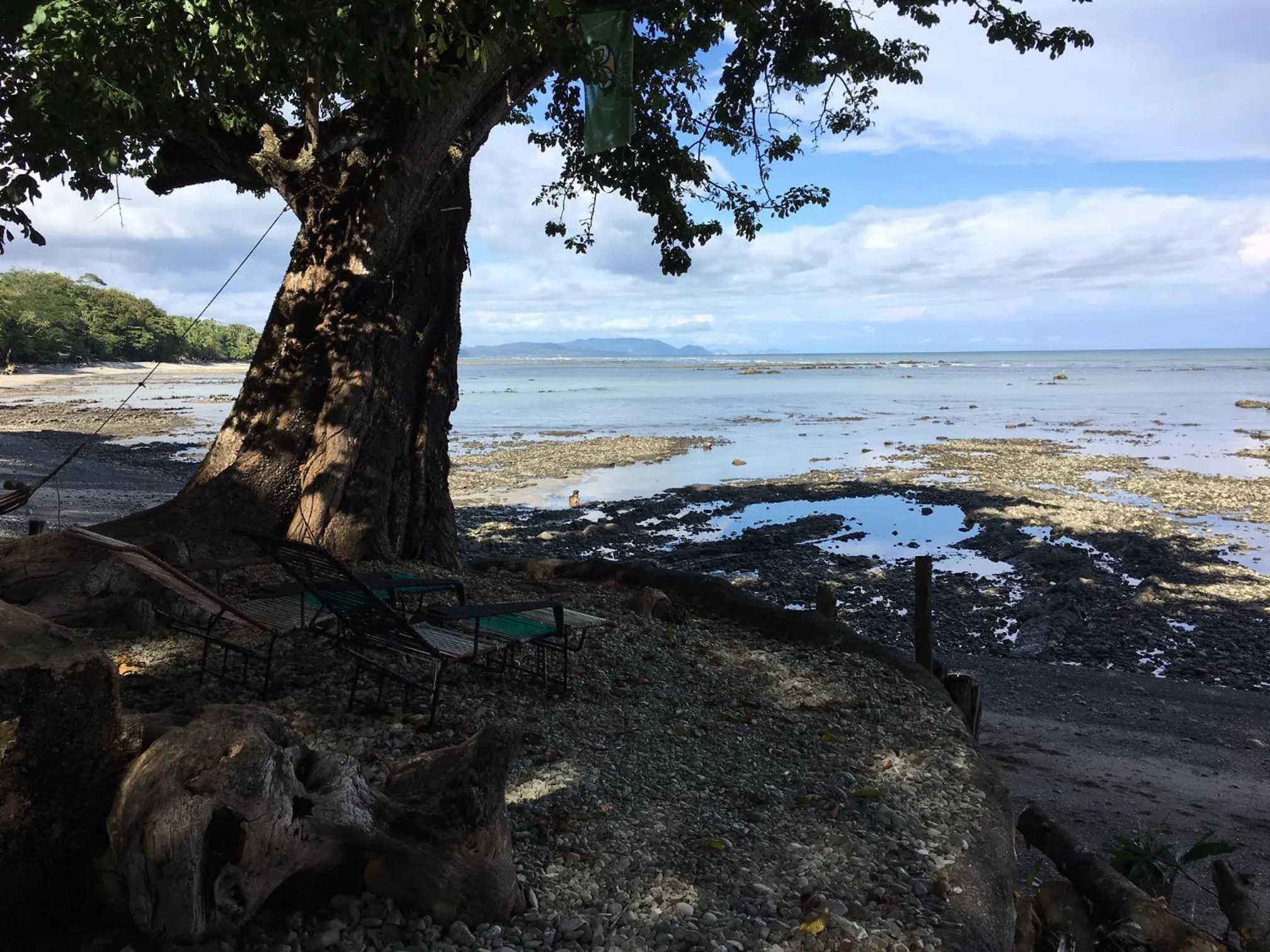 Natural landscape in Howler Monkey Hotel