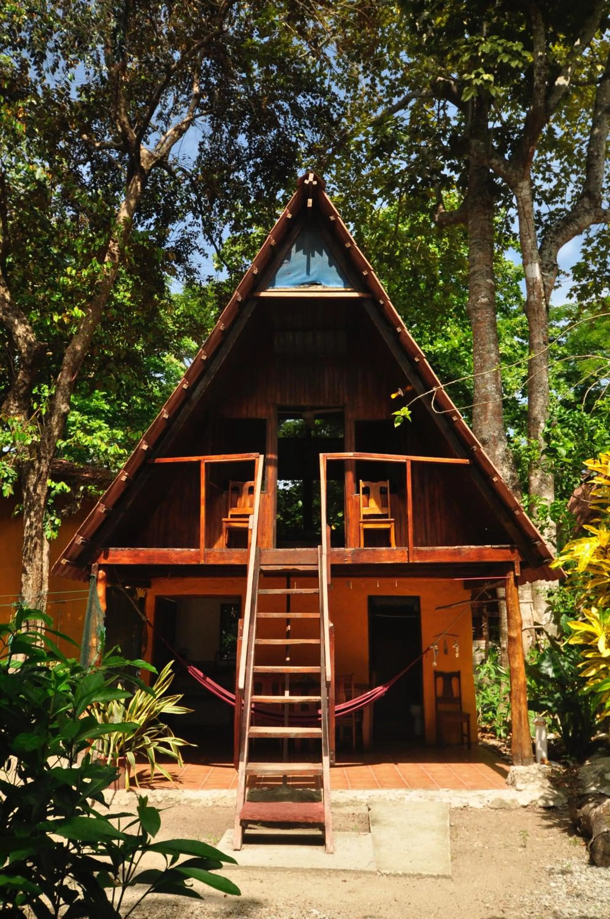 Living room in Howler Monkey Hotel