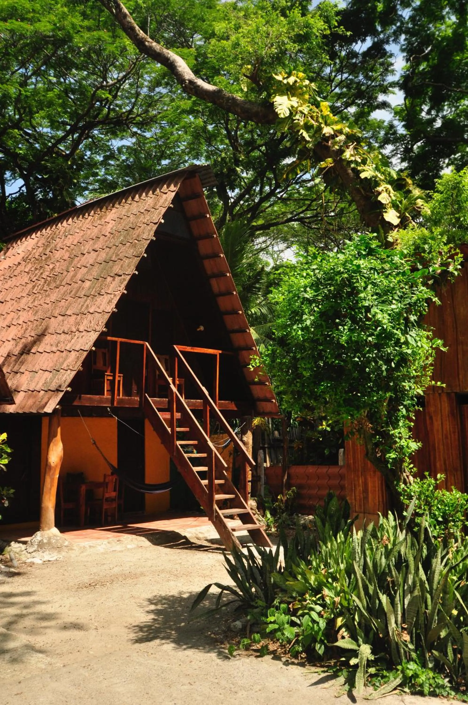 Bathroom in Howler Monkey Hotel