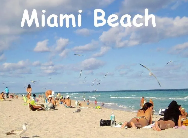 The South Beach Party House - Large Groups - Walk to Everything!