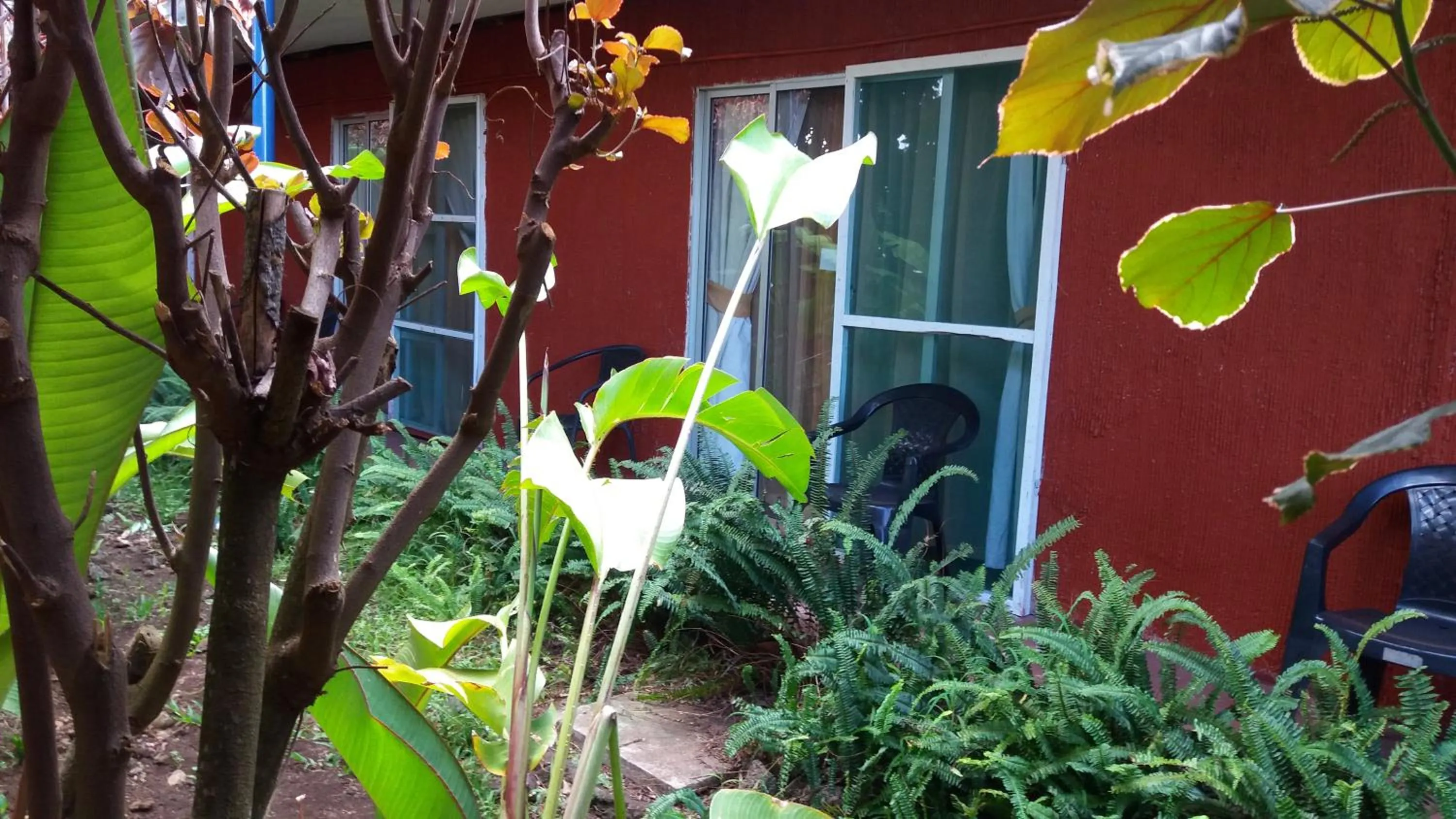 Decorative detail in Tupa Hotel