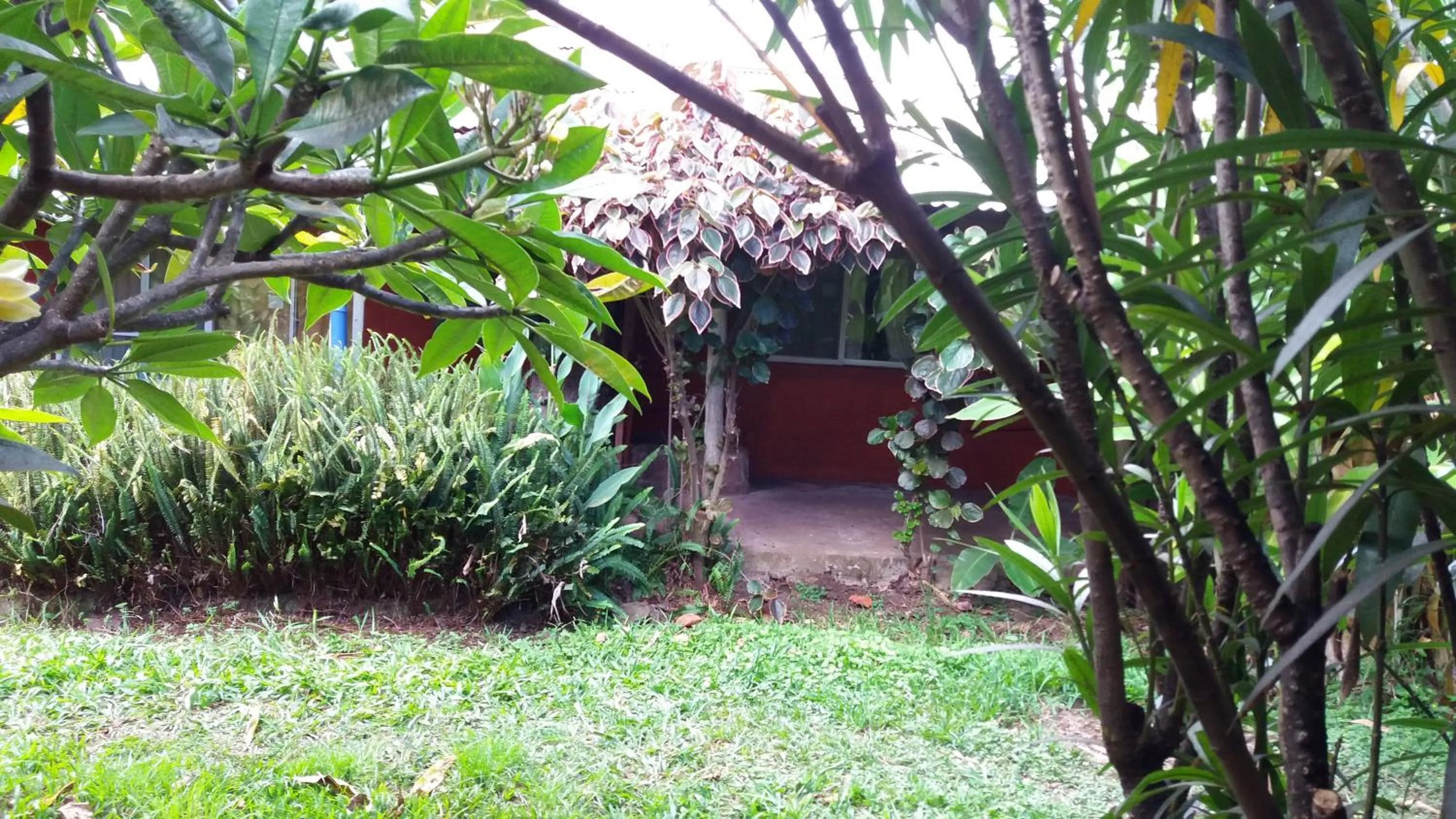 Garden in Tupa Hotel