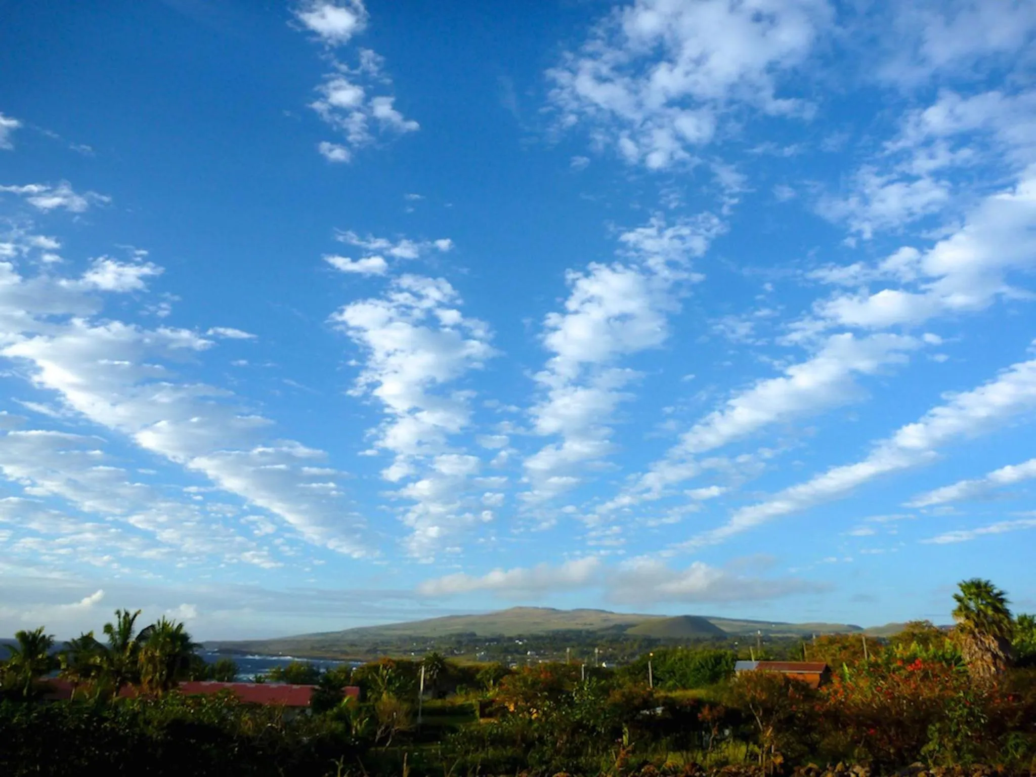 Area and facilities in Tupa Hotel