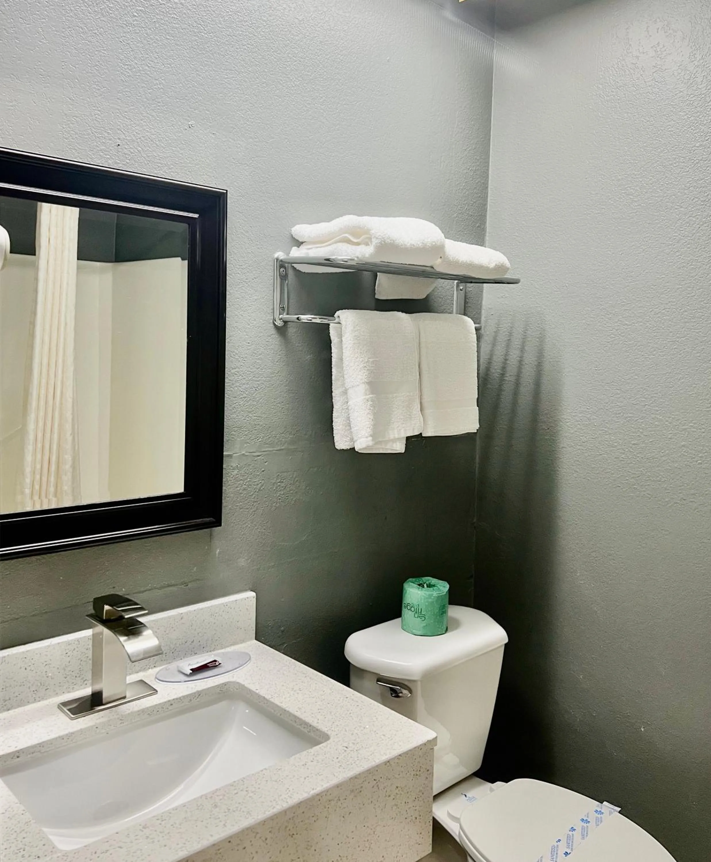 Bathroom in Palace Motel DEQUEEN