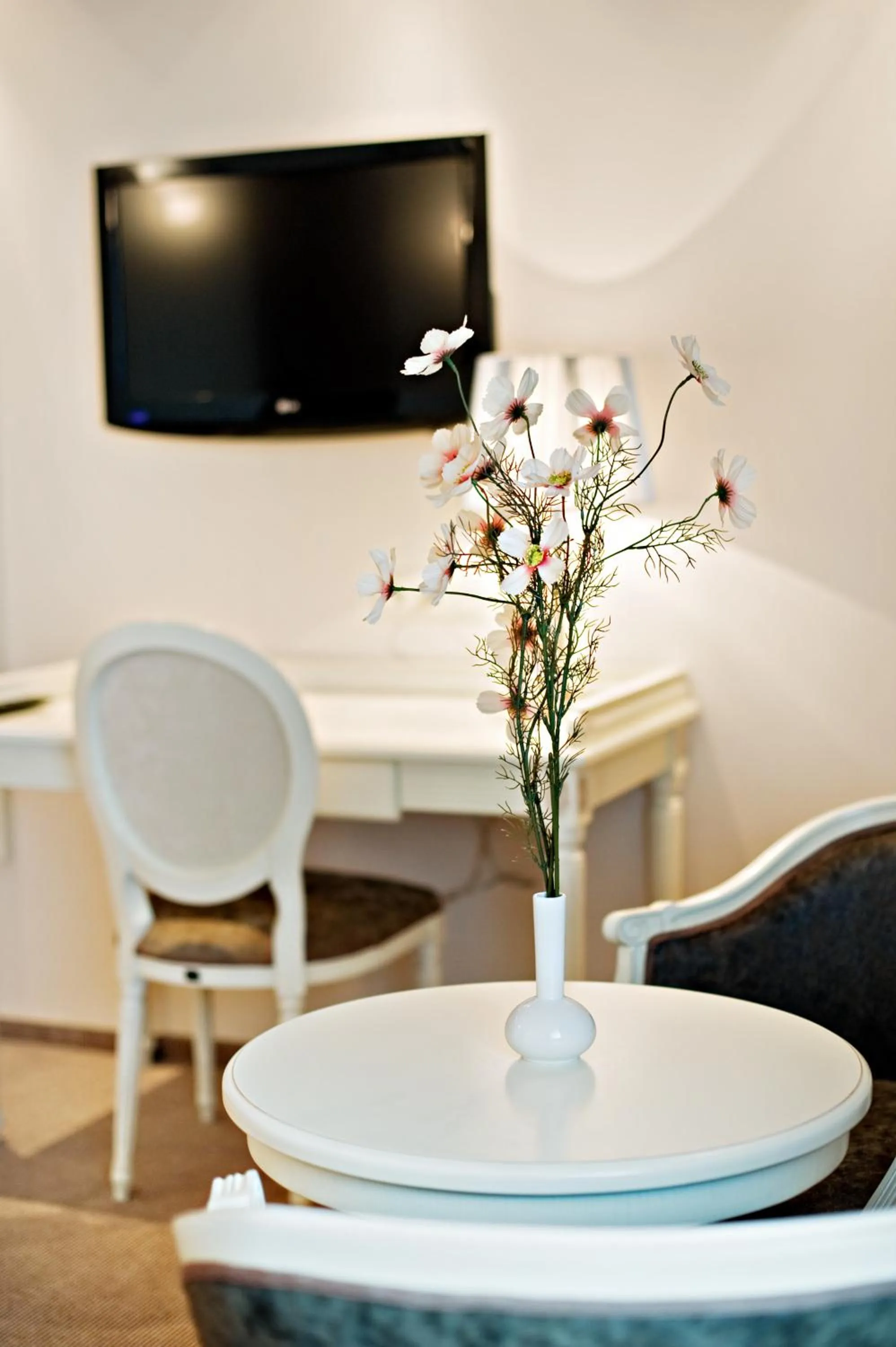 TV and multimedia in Hotel Prezydencki 4-star