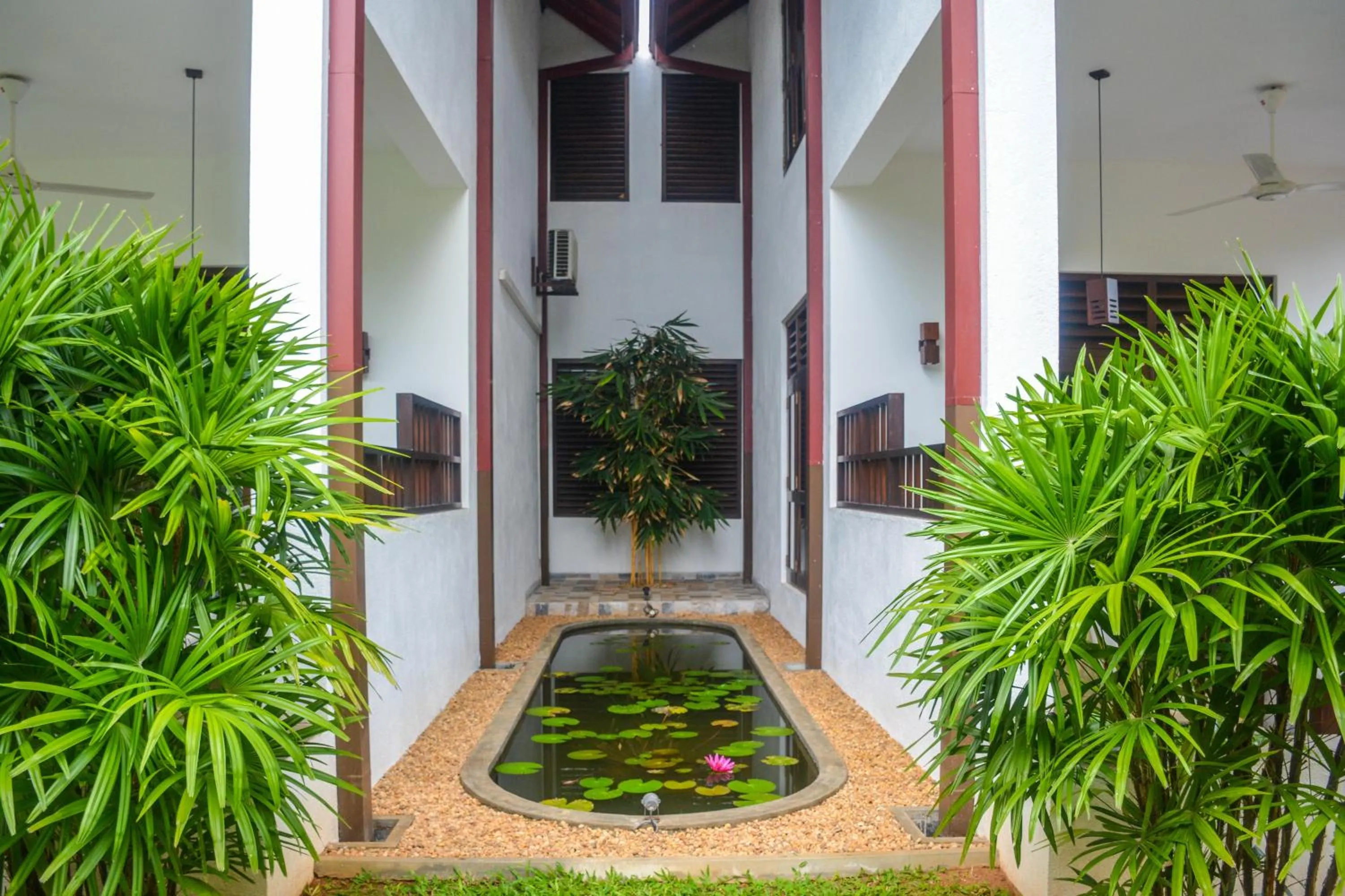 Garden in Goyambokka Guesthouse