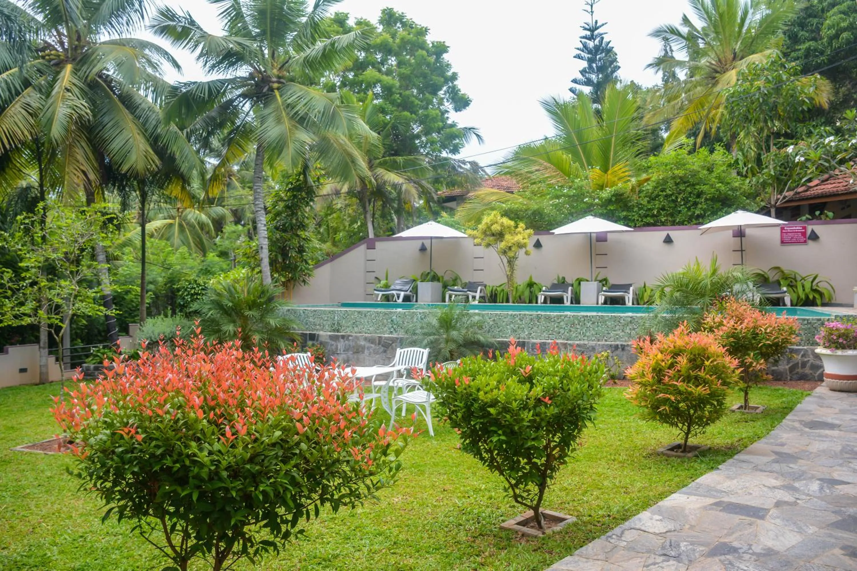 Garden view in Goyambokka Guesthouse