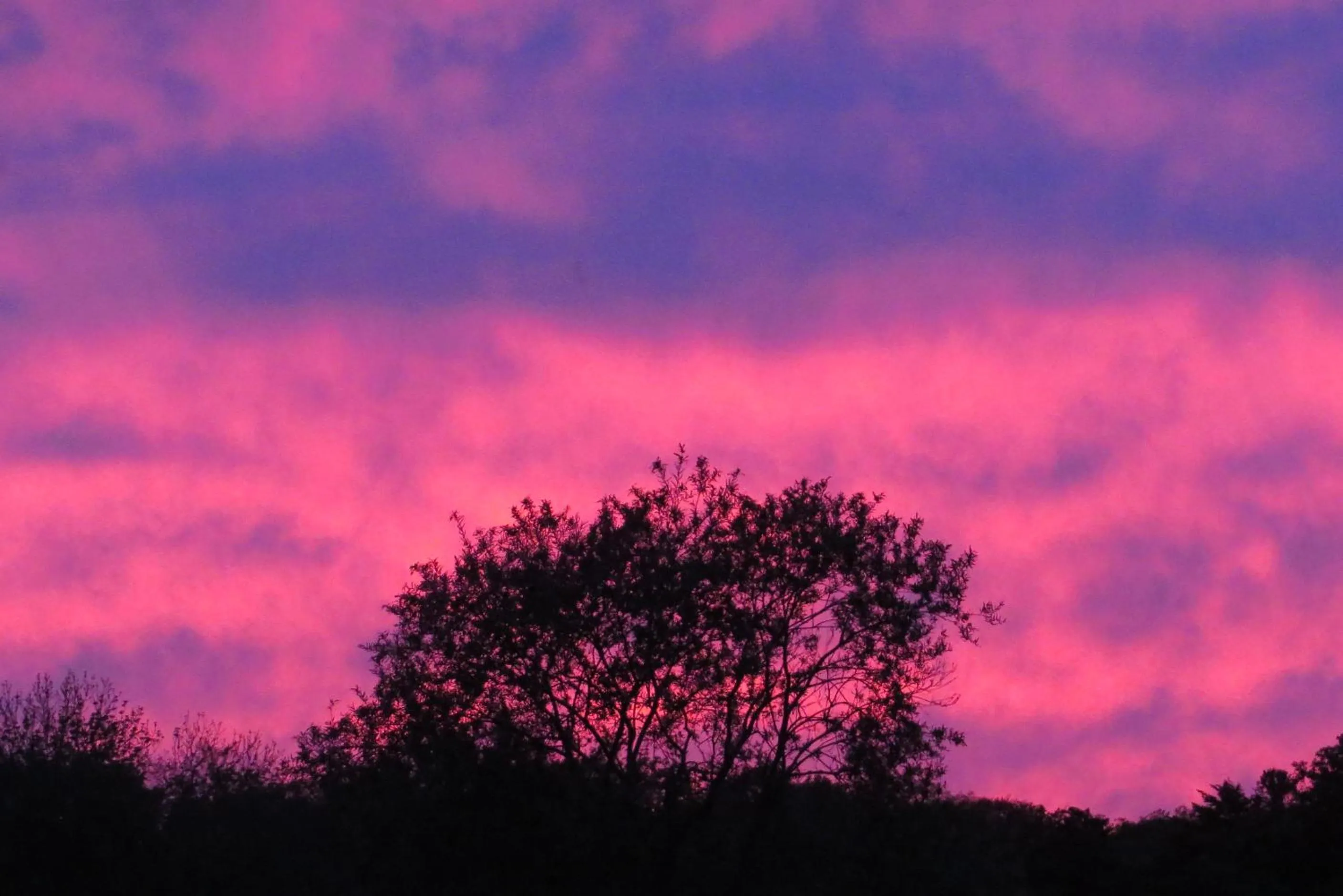 Natural landscape in Traveler's Inn Asanebo