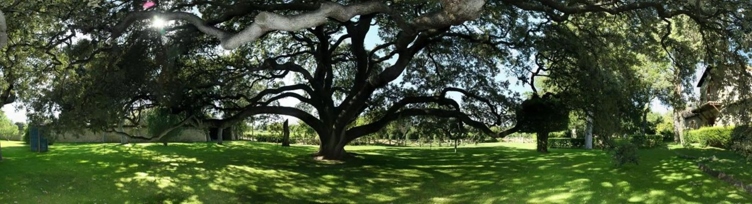 La Casita de la Planta