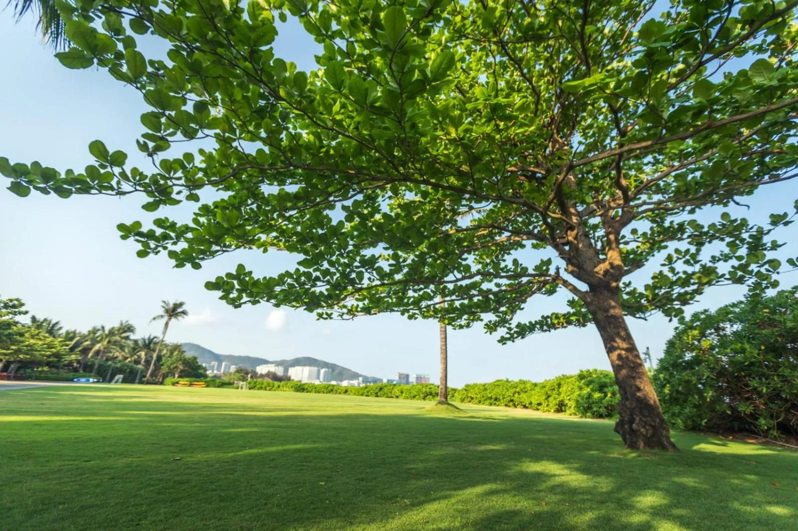 Natural landscape in Banyan Tree Sanya