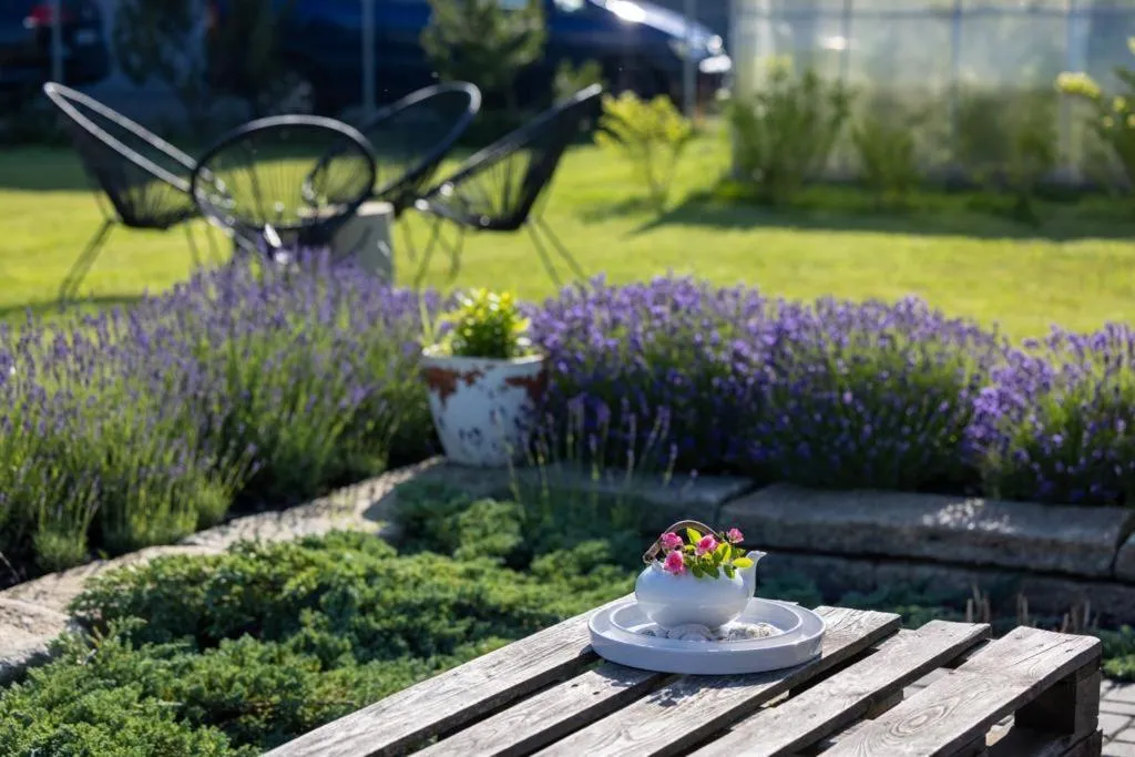 Dom Goscinny "Marta"