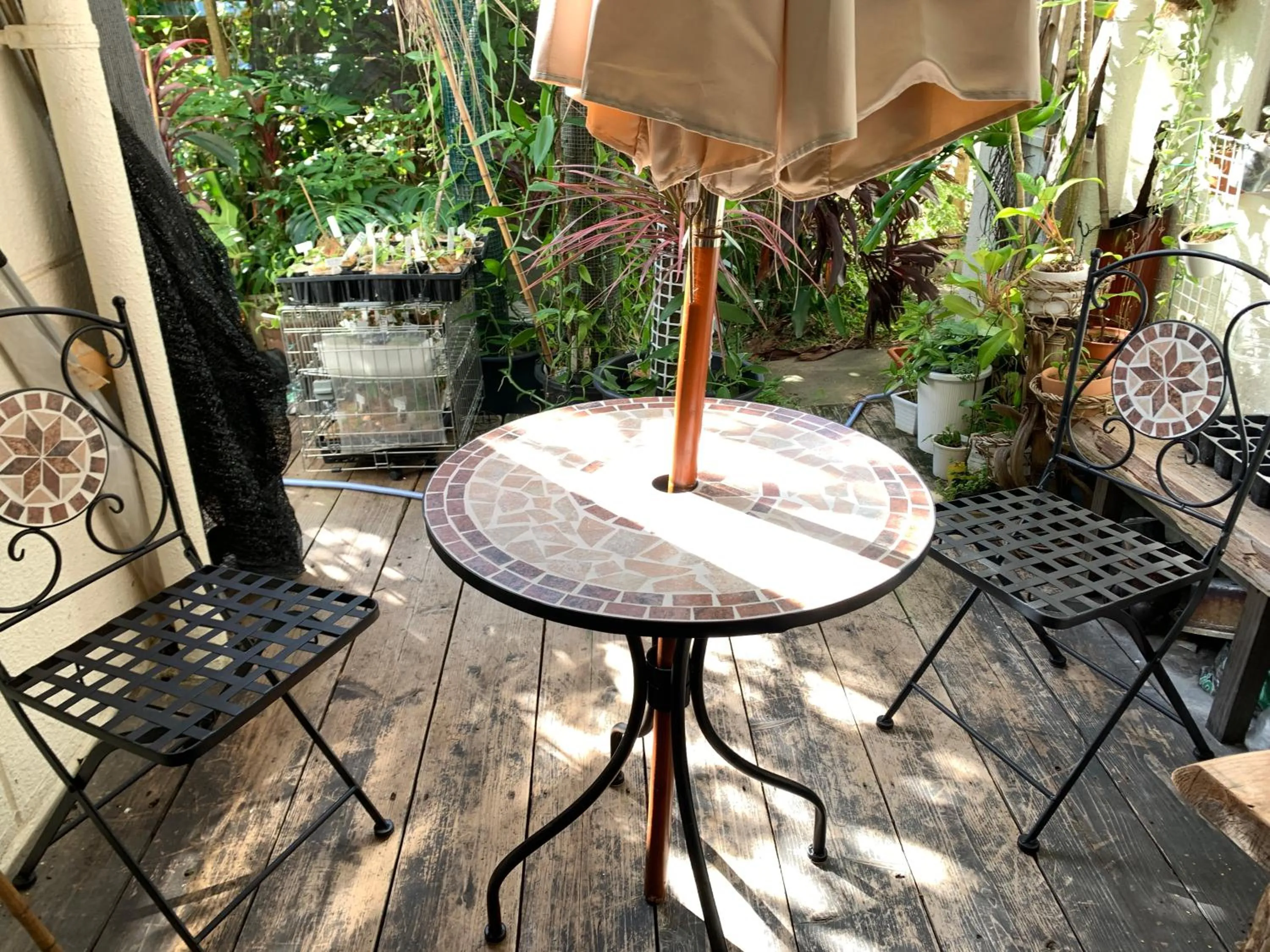 Balcony/Terrace in Milk-ya Women-Only Guest House