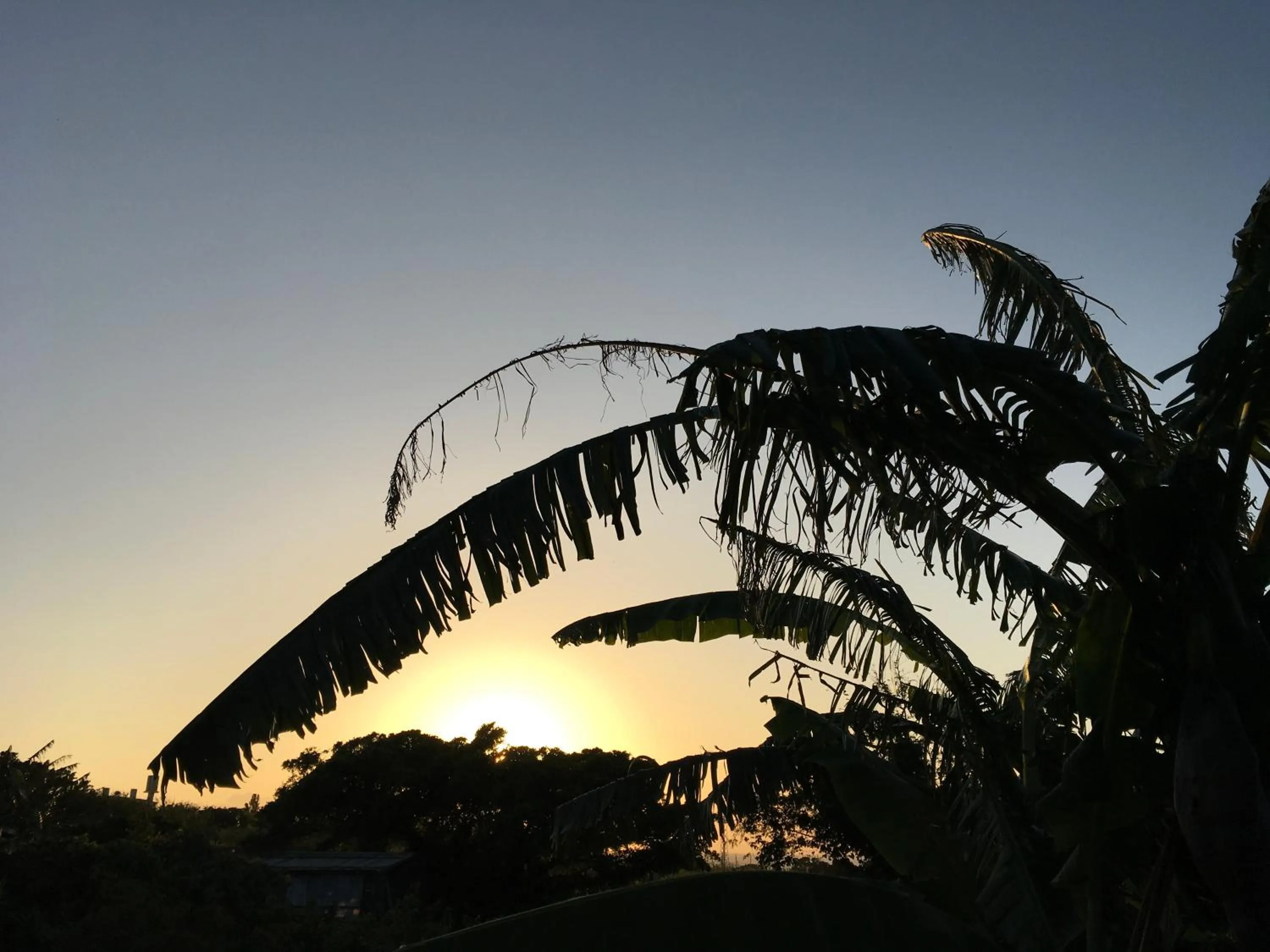 Natural landscape in Milk-ya Women-Only Guest House