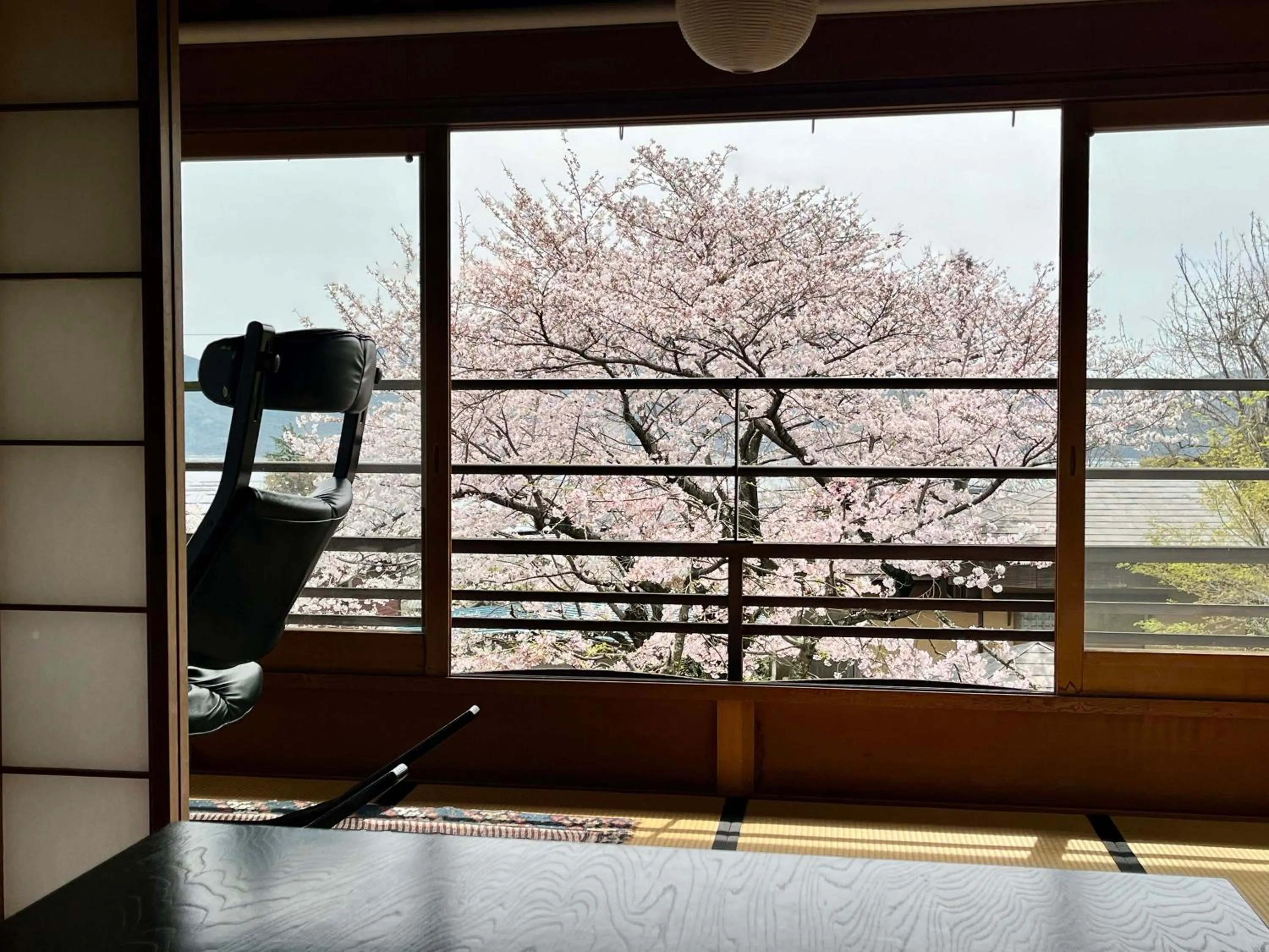 Property building in Sekitei