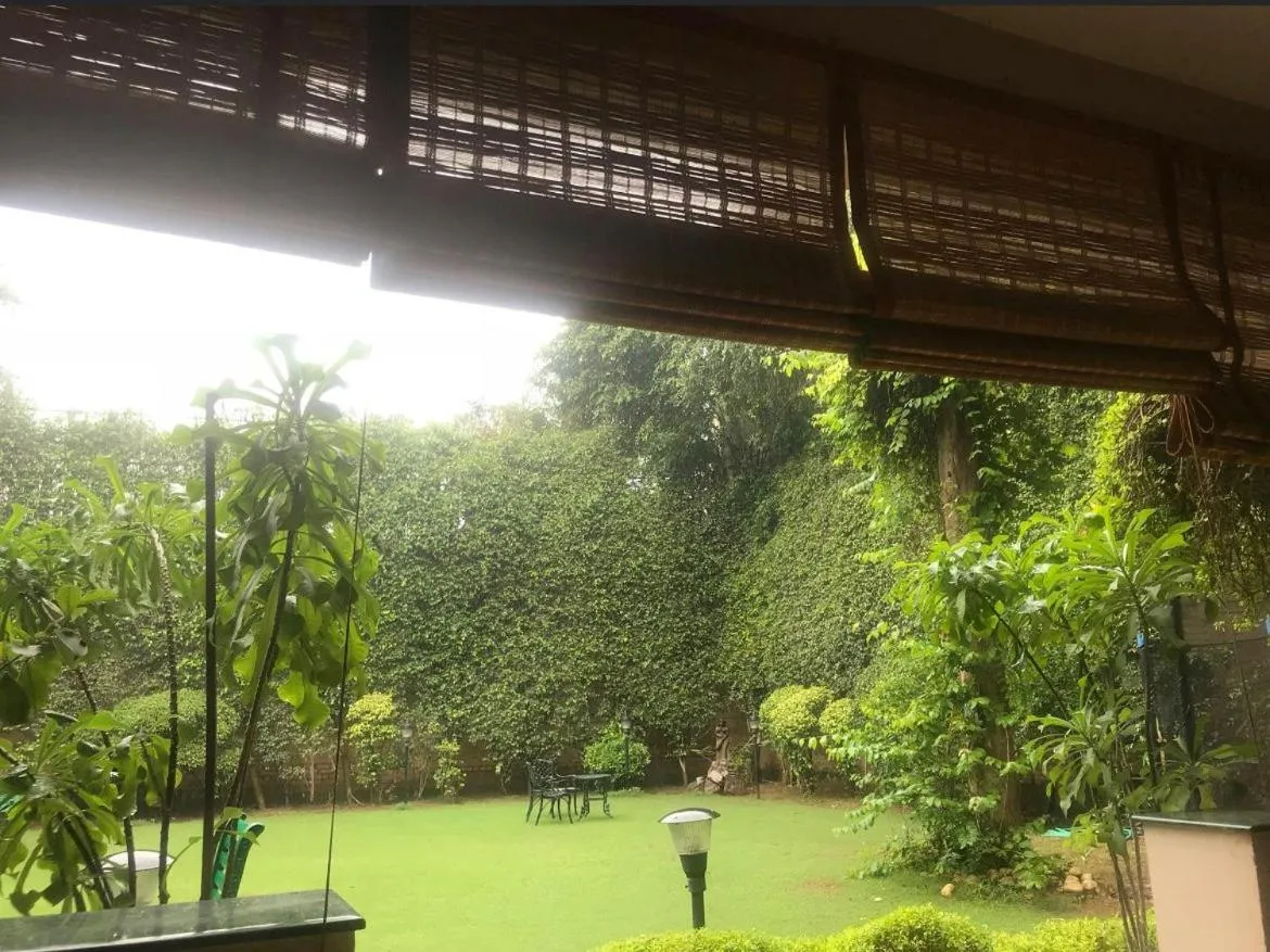 Garden in The Estate Villa