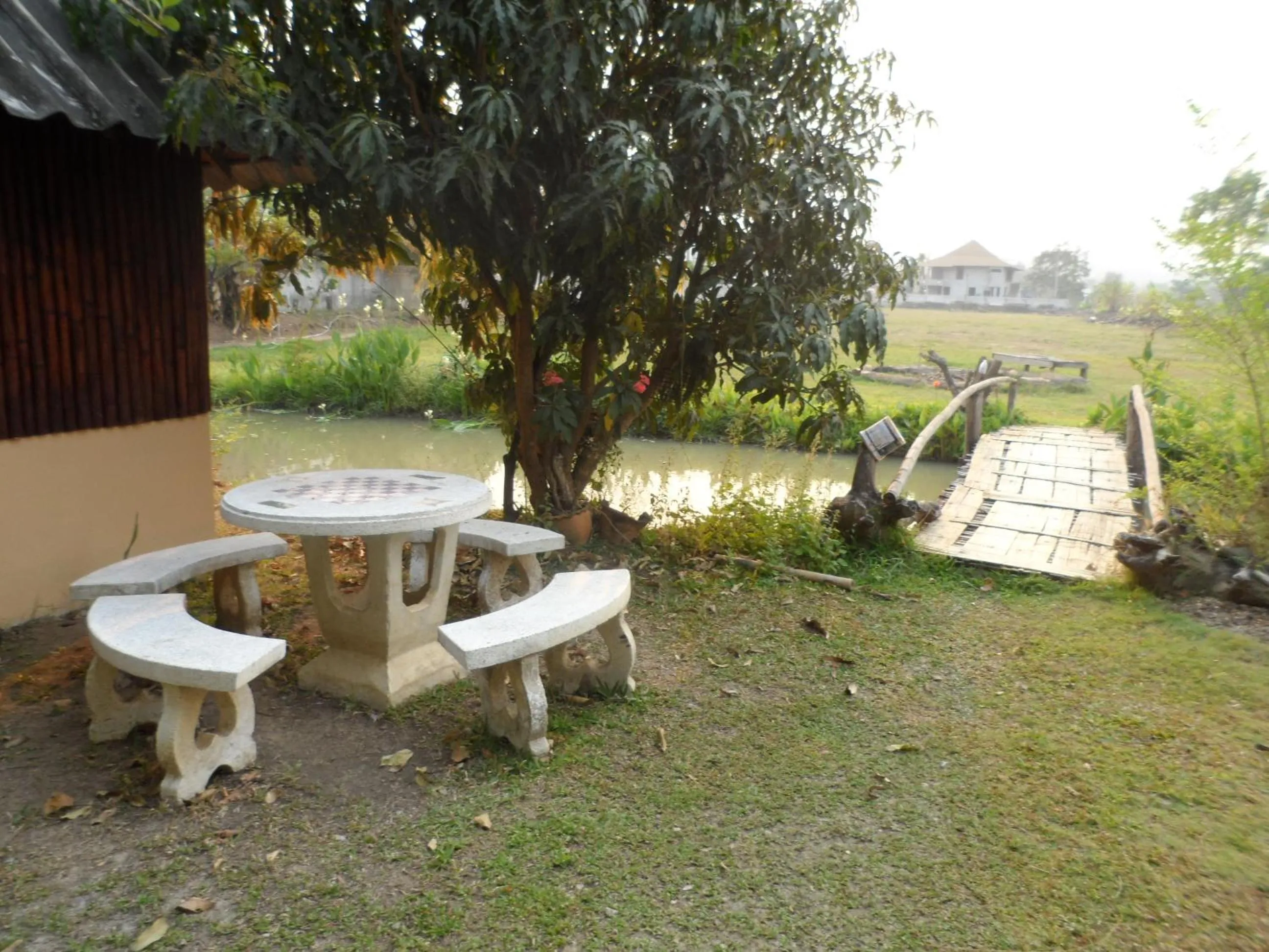 Garden in Rainbow House Pai