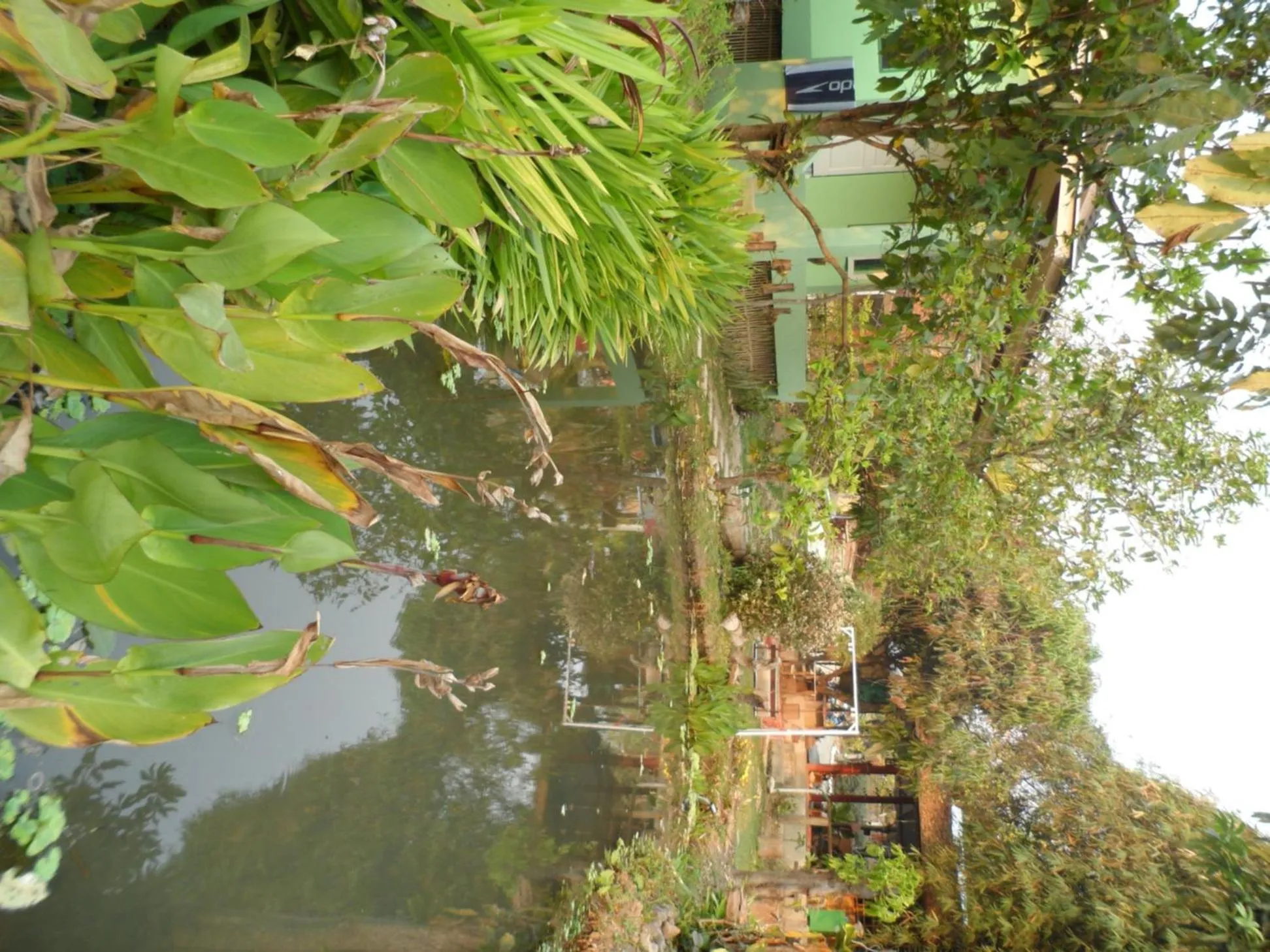 Garden view in Rainbow House Pai