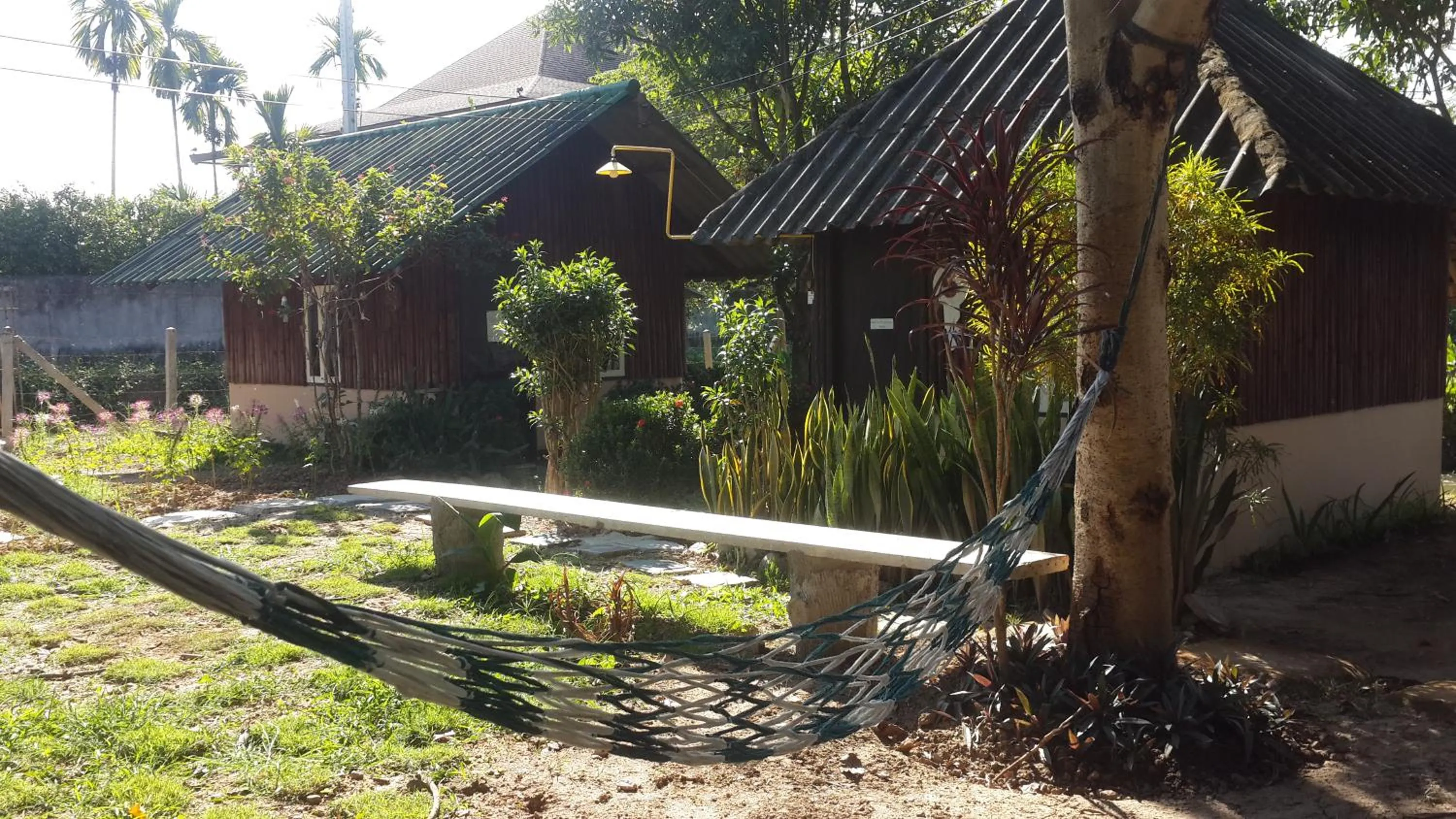 Garden in Rainbow House Pai