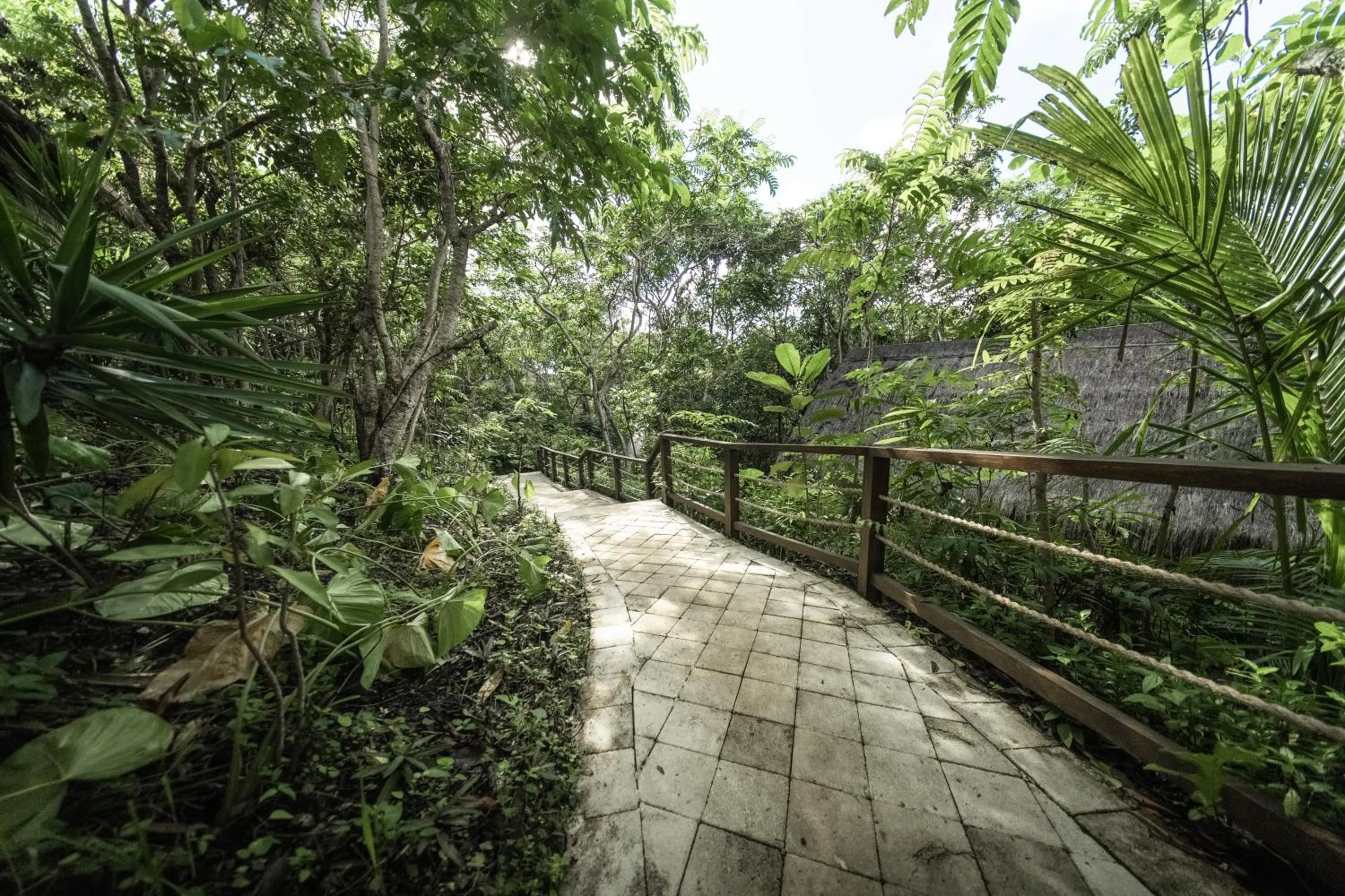 Garden in The Mesare Eco Resort