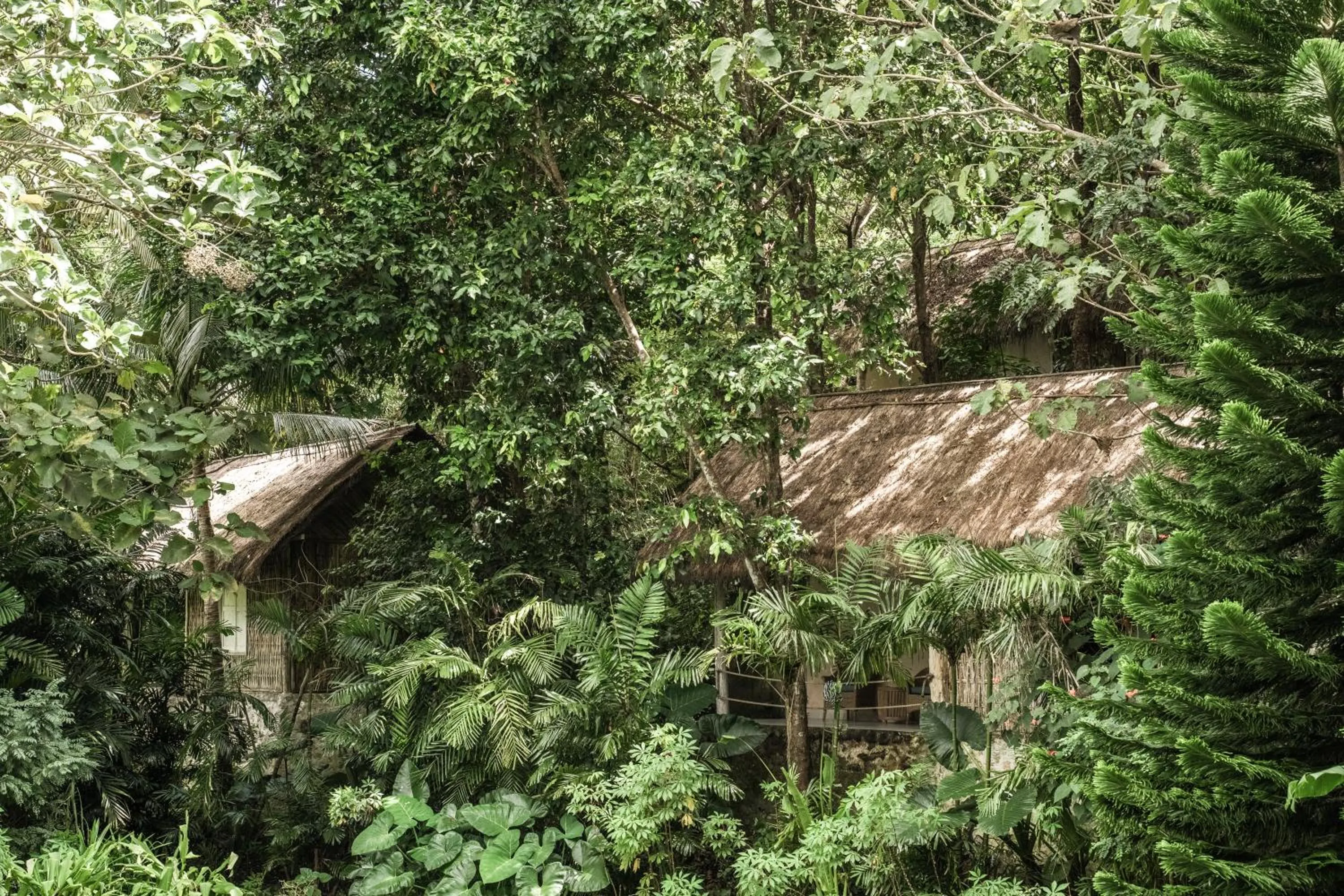 View (from property/room) in The Mesare Eco Resort