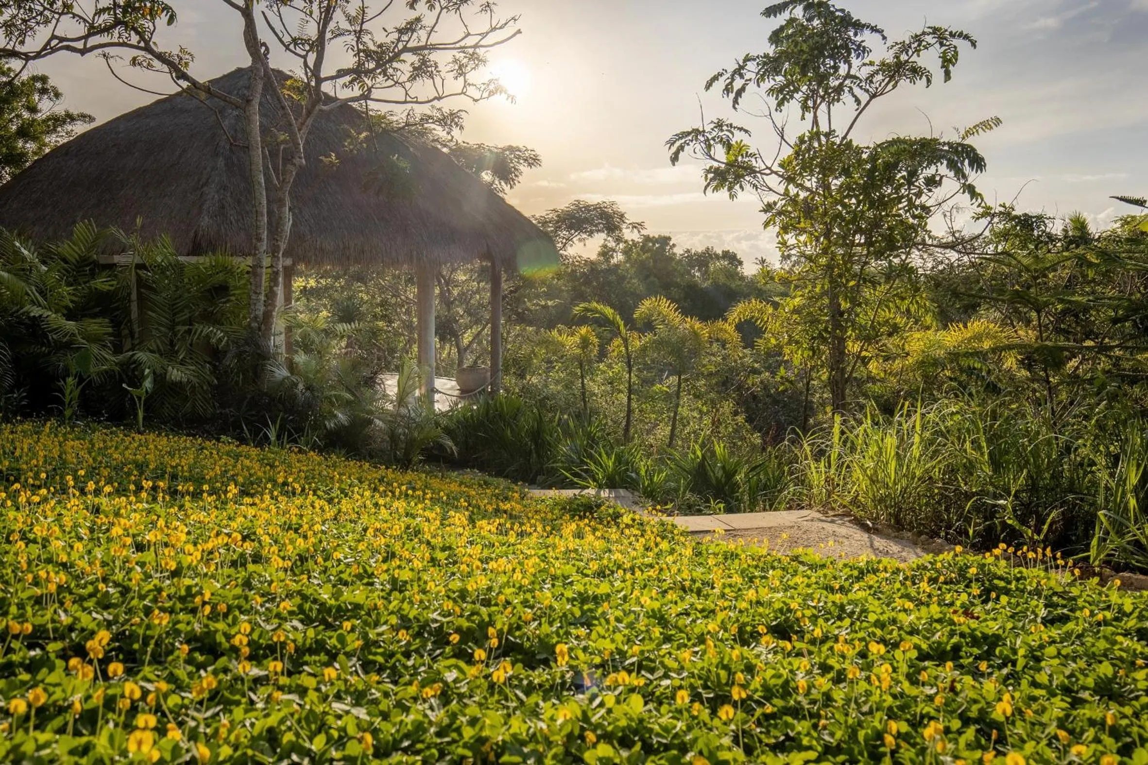 Natural landscape in The Mesare Eco Resort