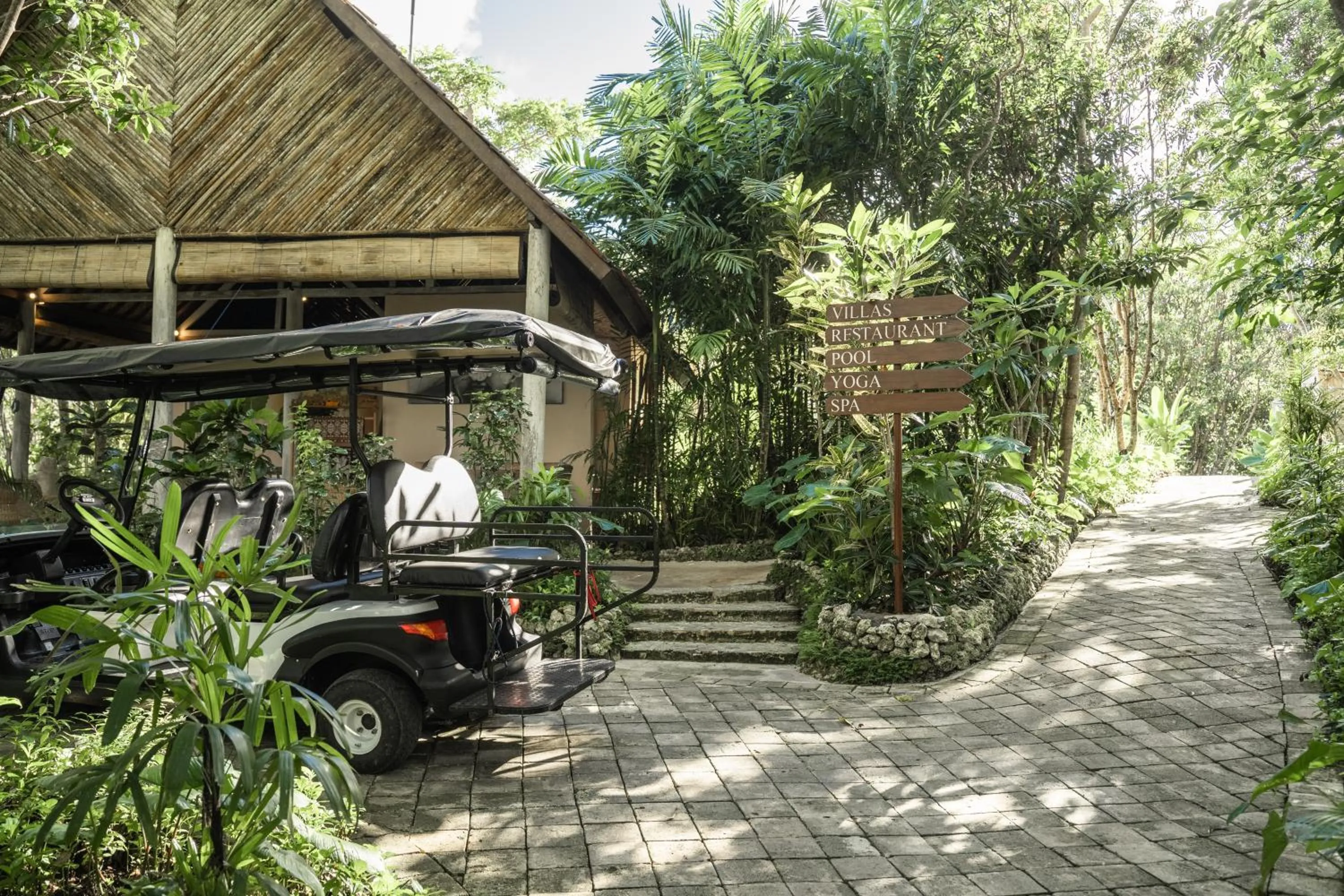 Area and facilities in The Mesare Eco Resort