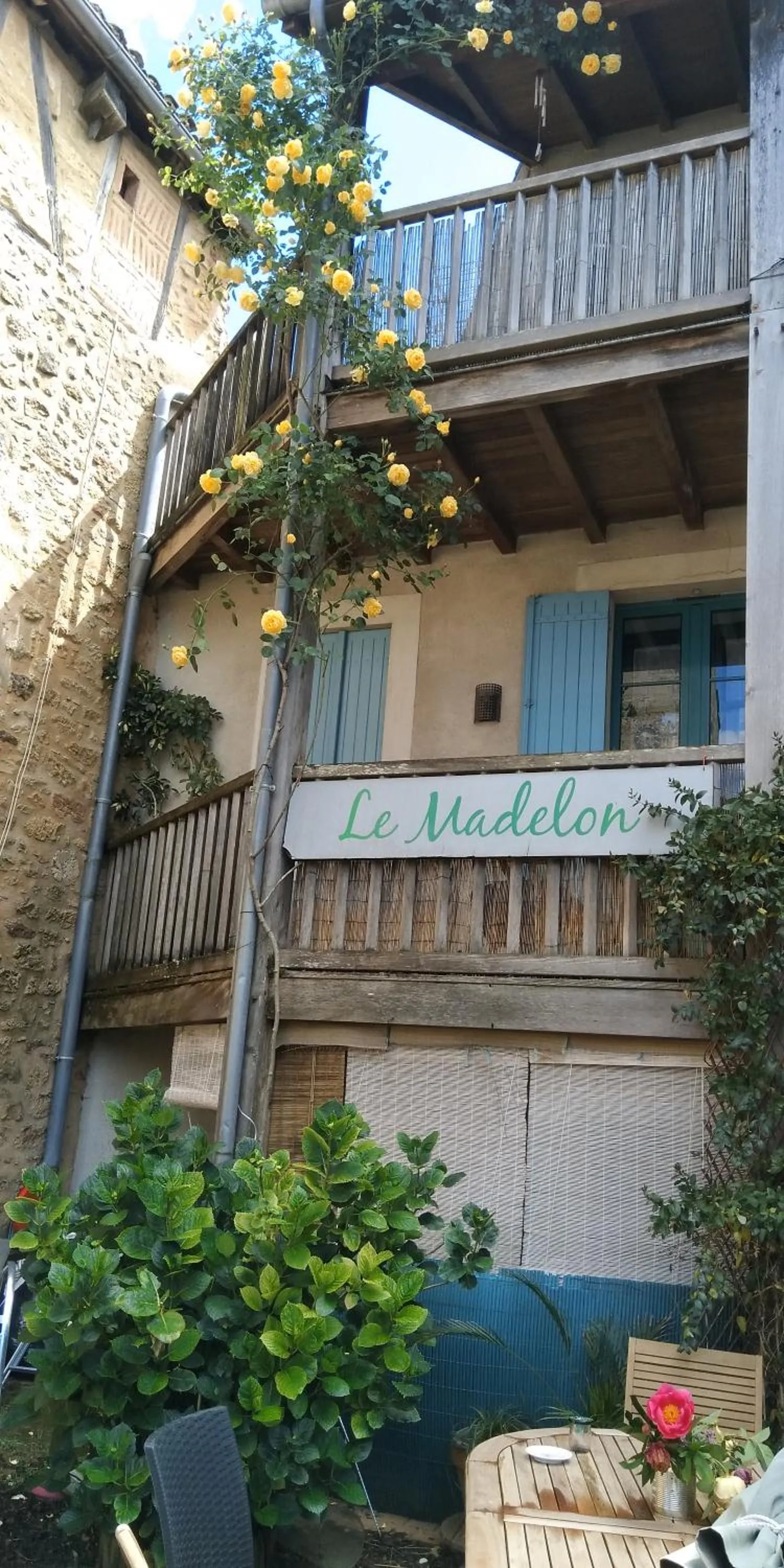 Garden view in Madelon IV