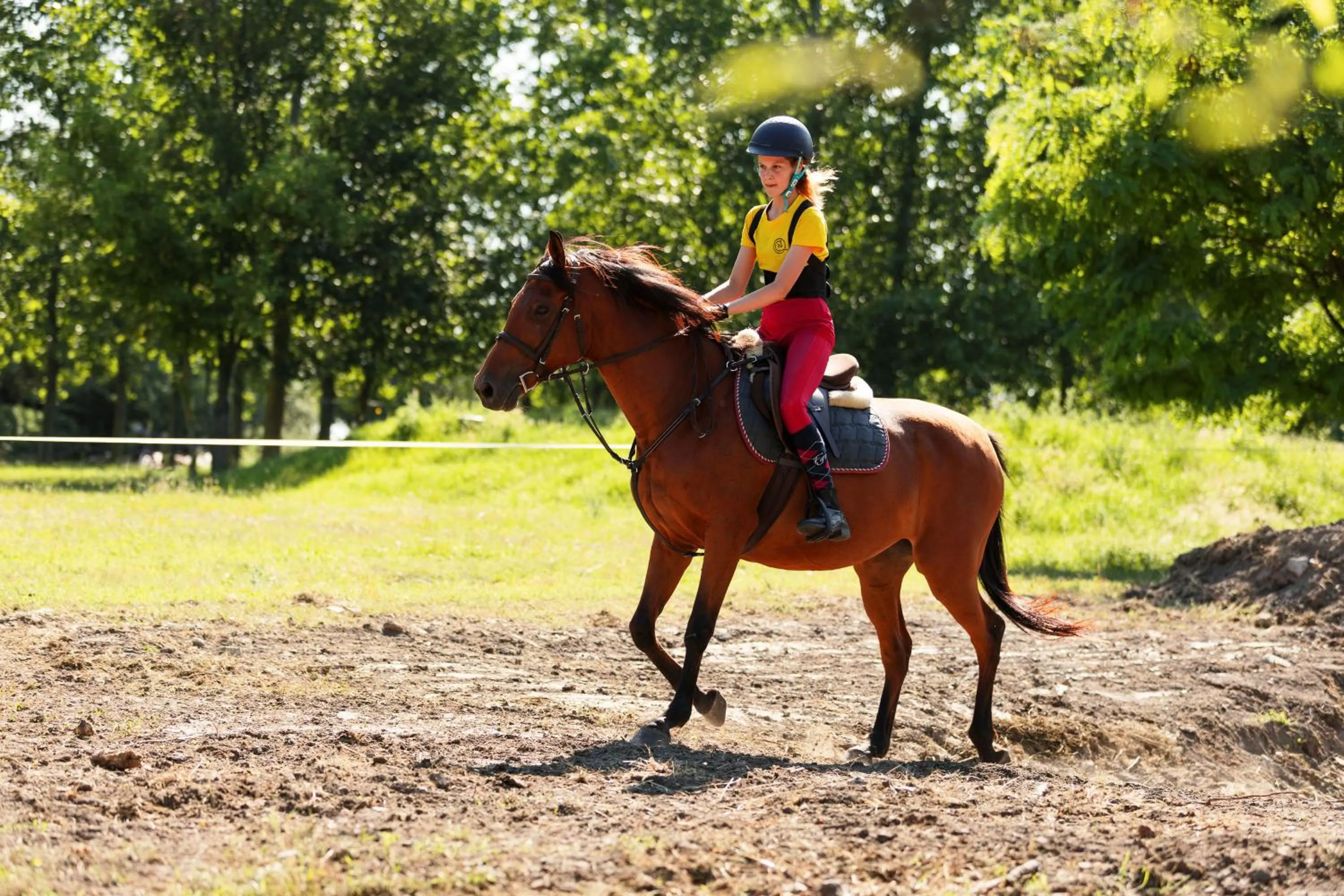 Horse-riding in Bauer Resort Countryside Retreat