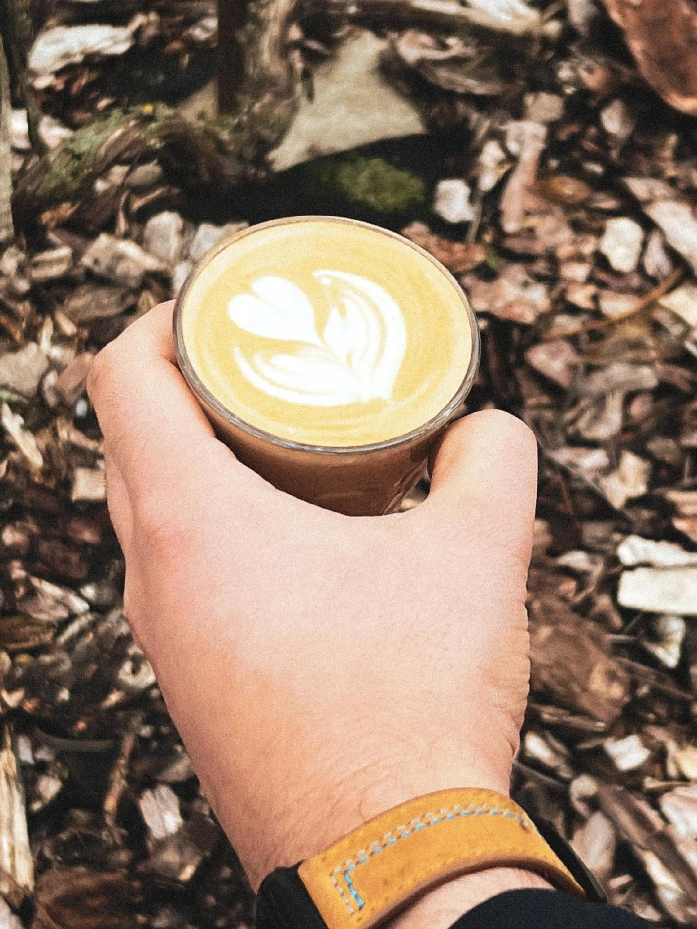 Food and drinks in Bauer Resort Countryside Retreat