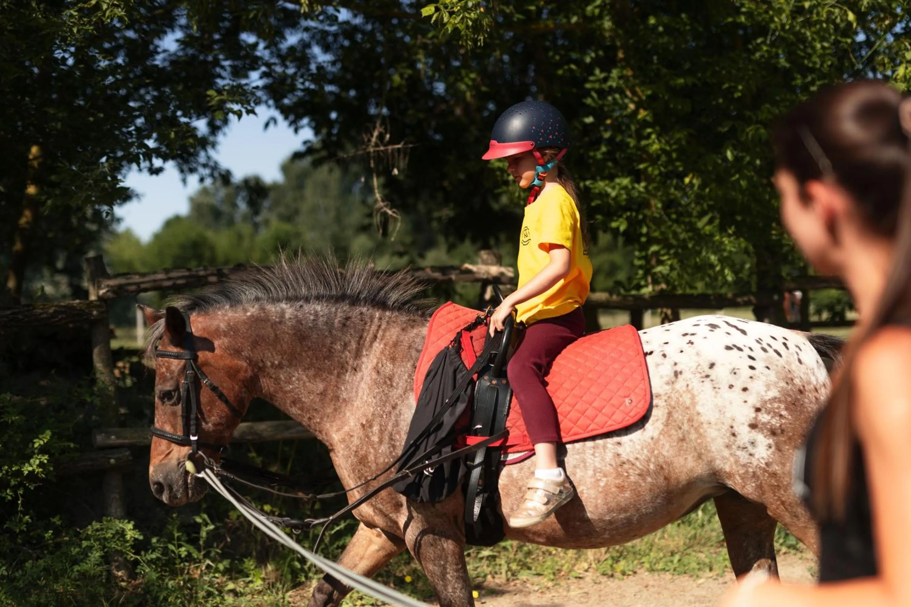 Horse-riding in Bauer Resort Countryside Retreat