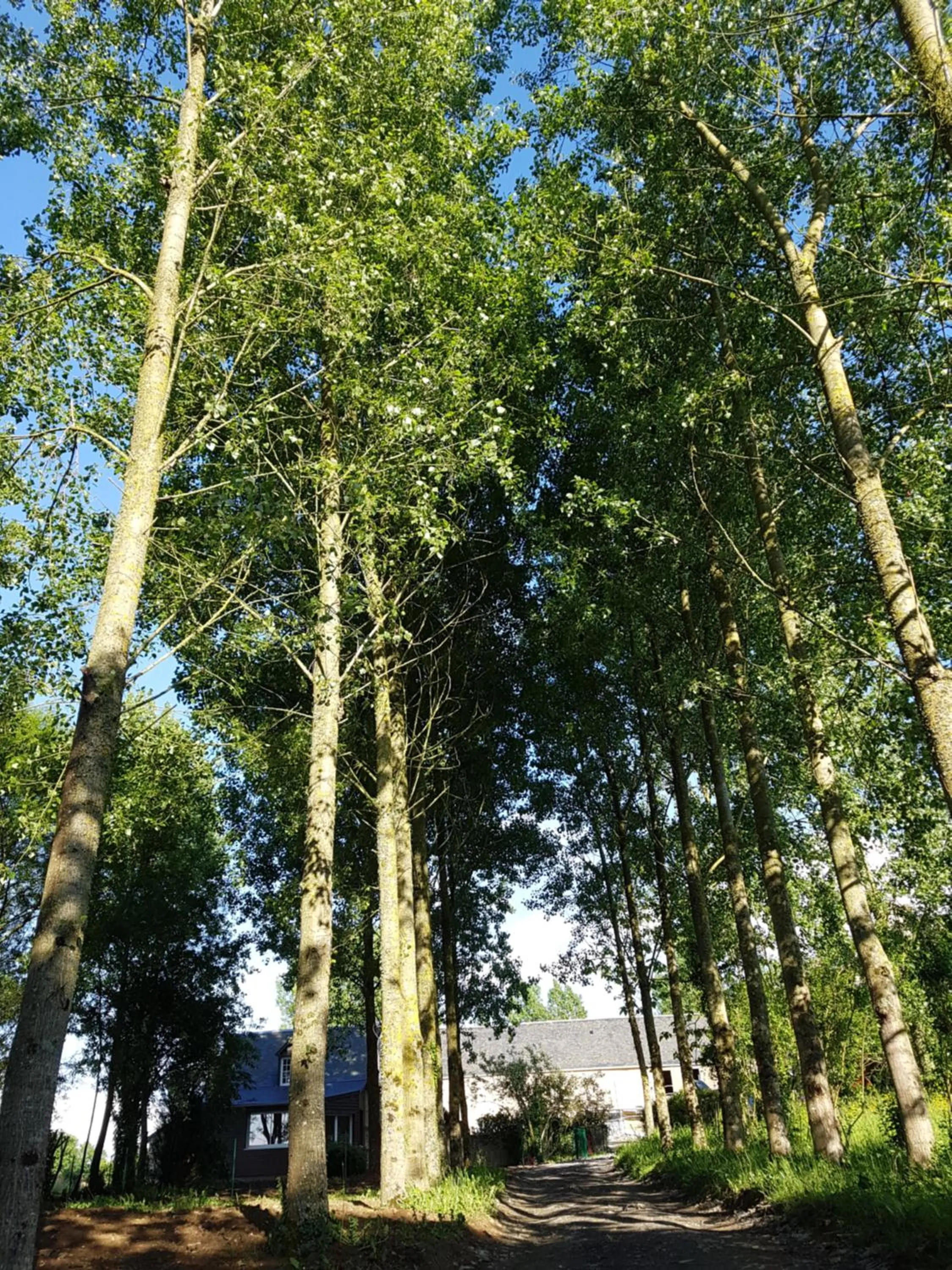 Domaine de la Fauvriere