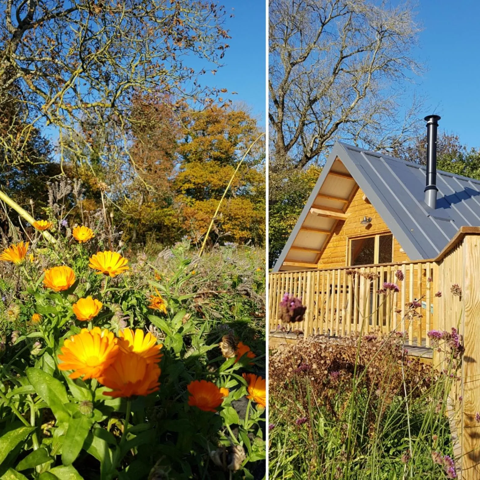 Domaine de la Fauvriere