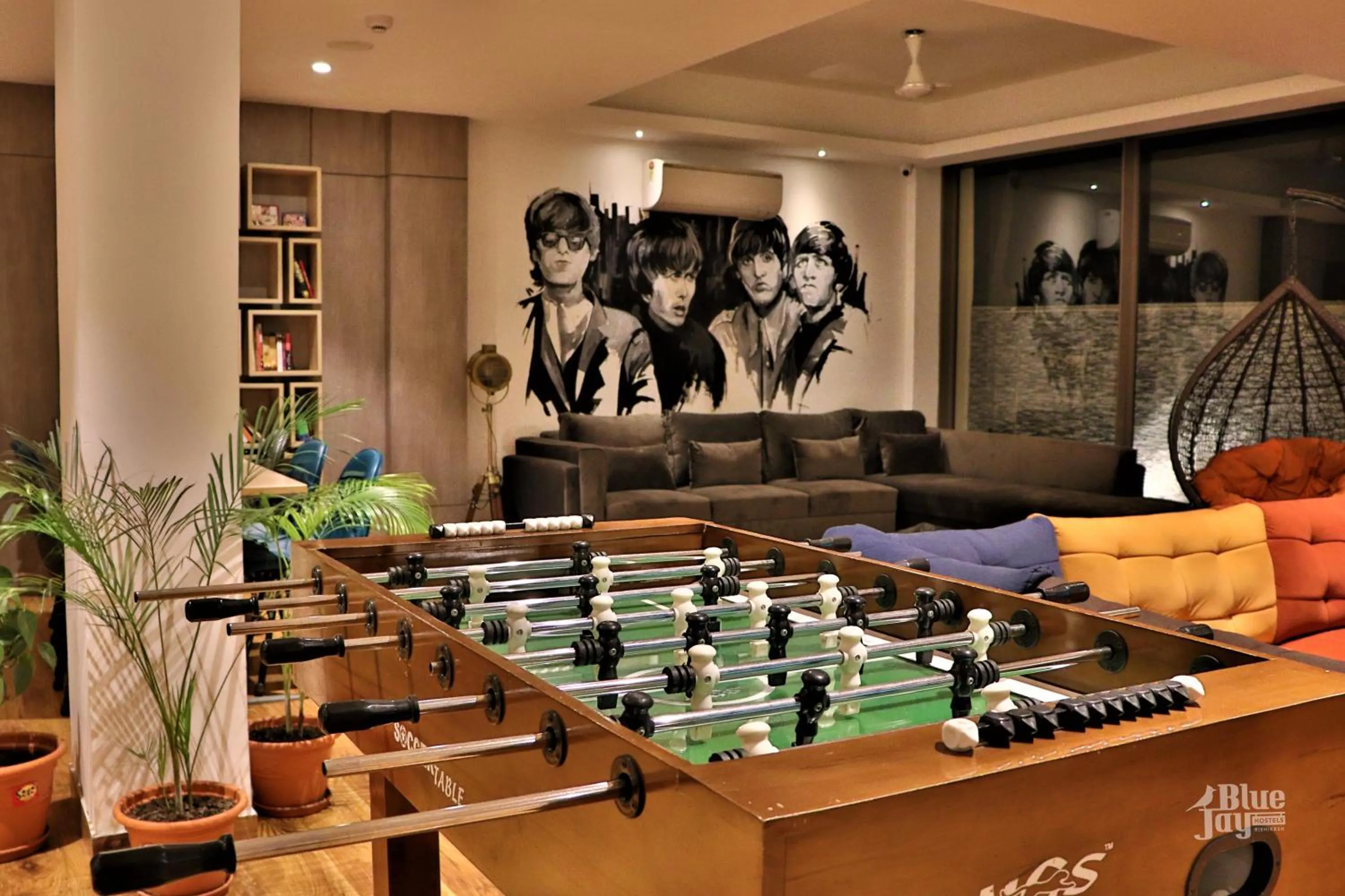 Activities in The Blue Jay Hostel - Dorms & Rooms