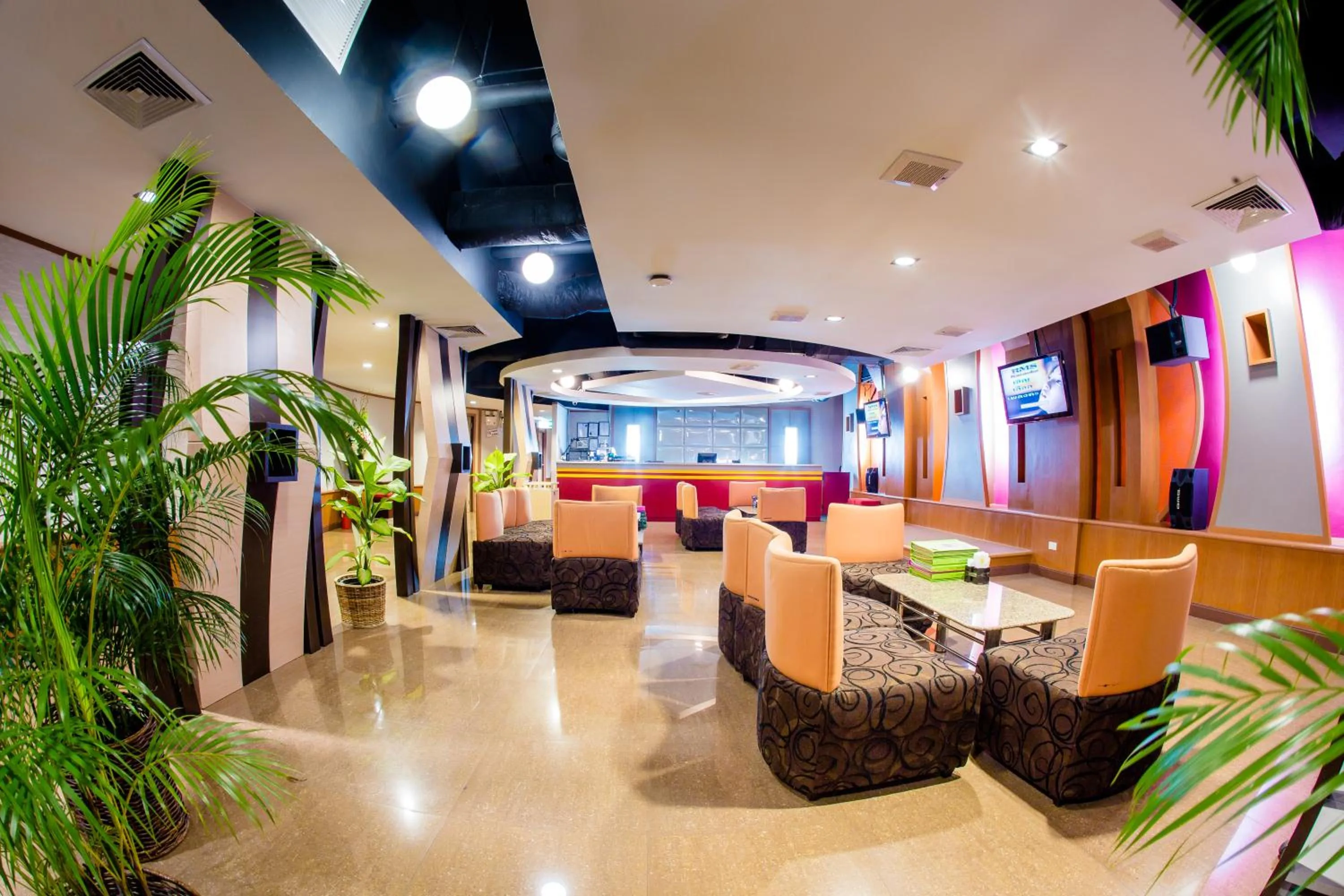 Other in The Twin Lotus Hotel