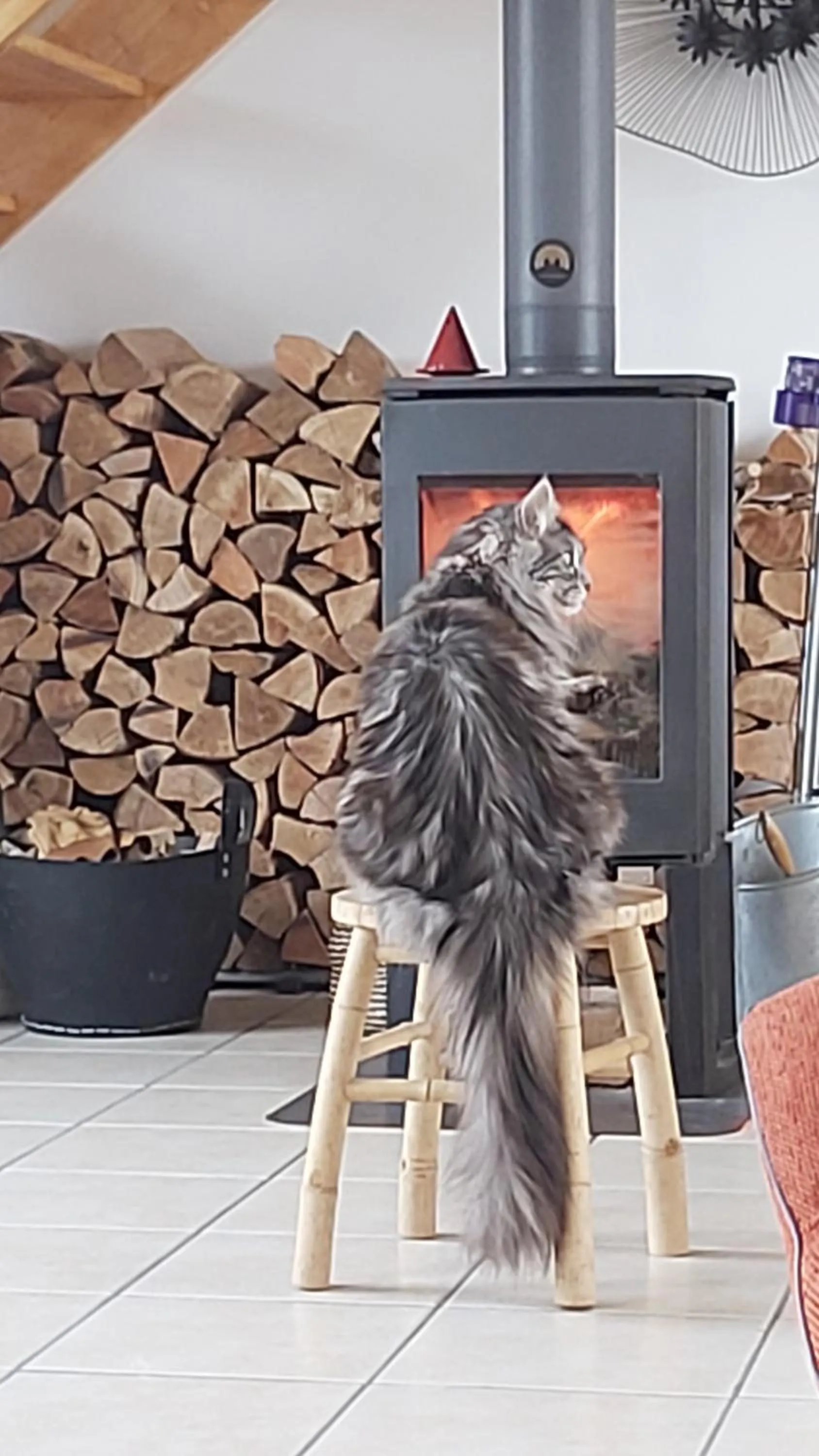 internet in L'Oustaou du Bodo