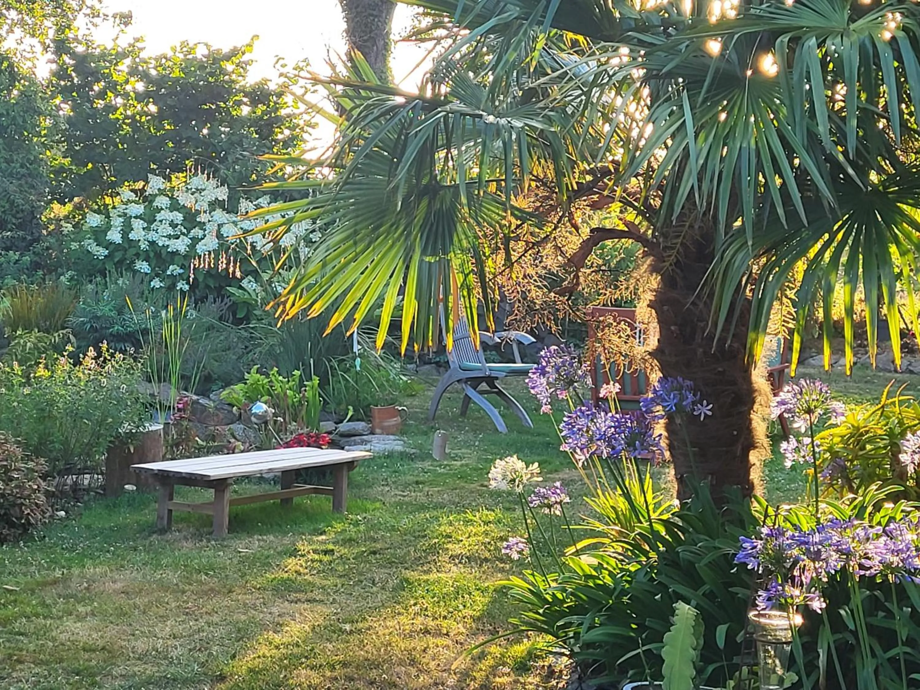 Garden in L'Oustaou du Bodo
