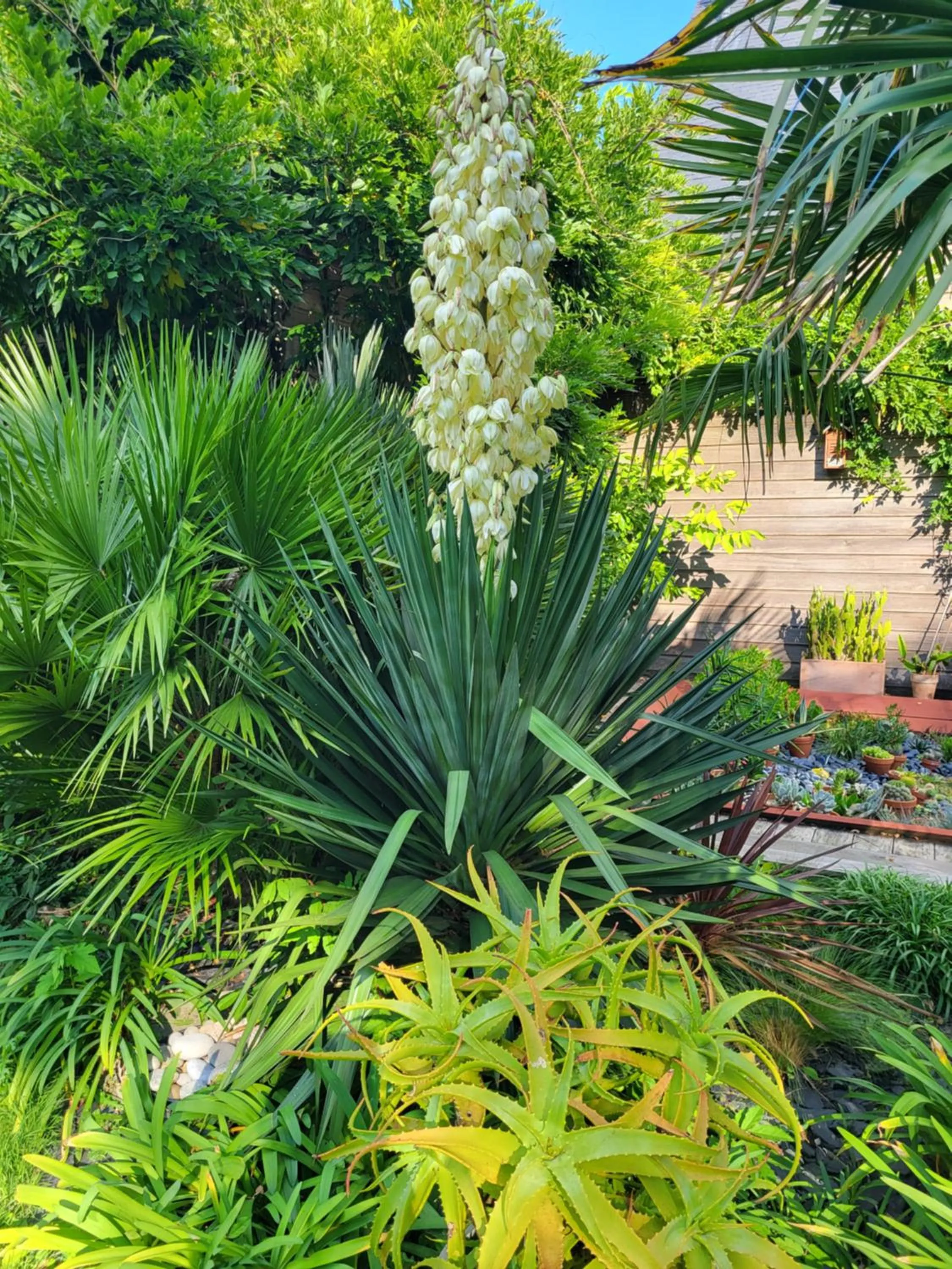 Garden in L'Oustaou du Bodo