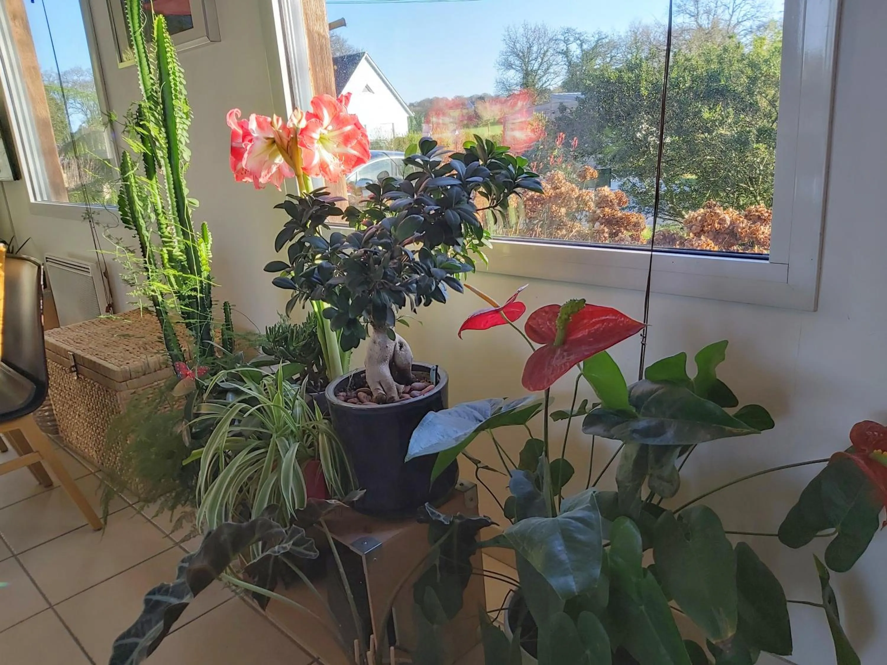 Decorative detail in L'Oustaou du Bodo