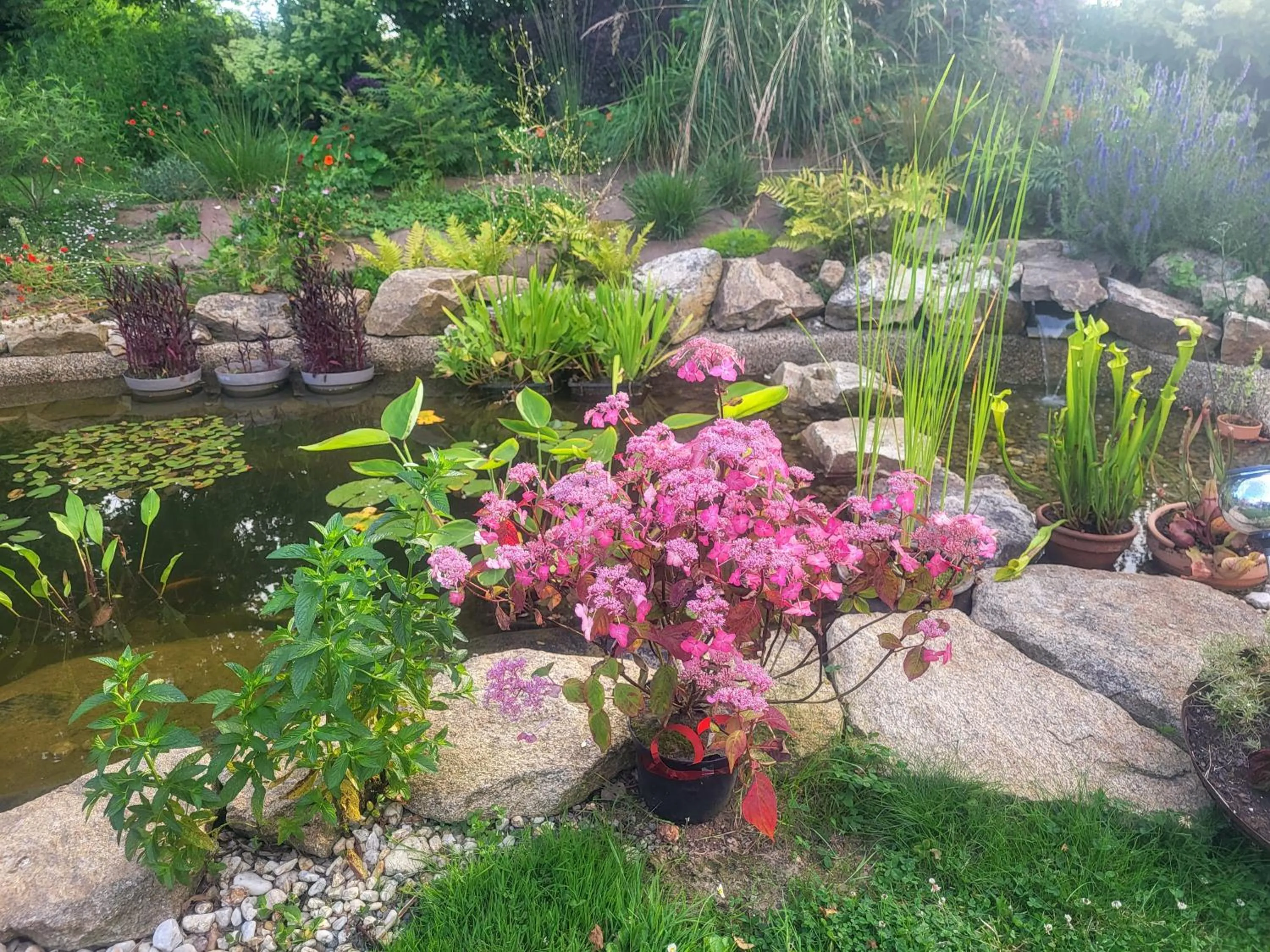 Garden in L'Oustaou du Bodo